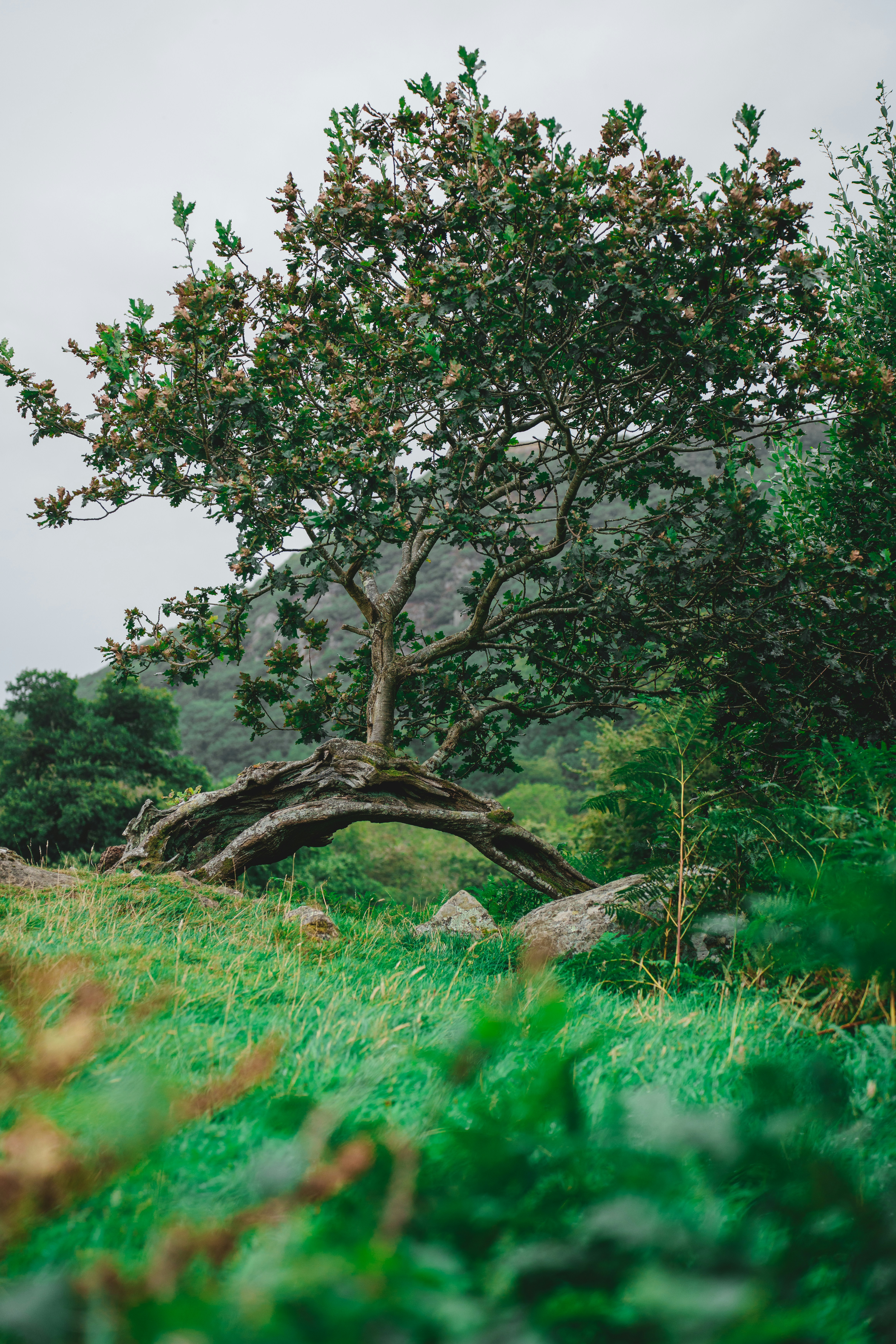 Photo by clementproust