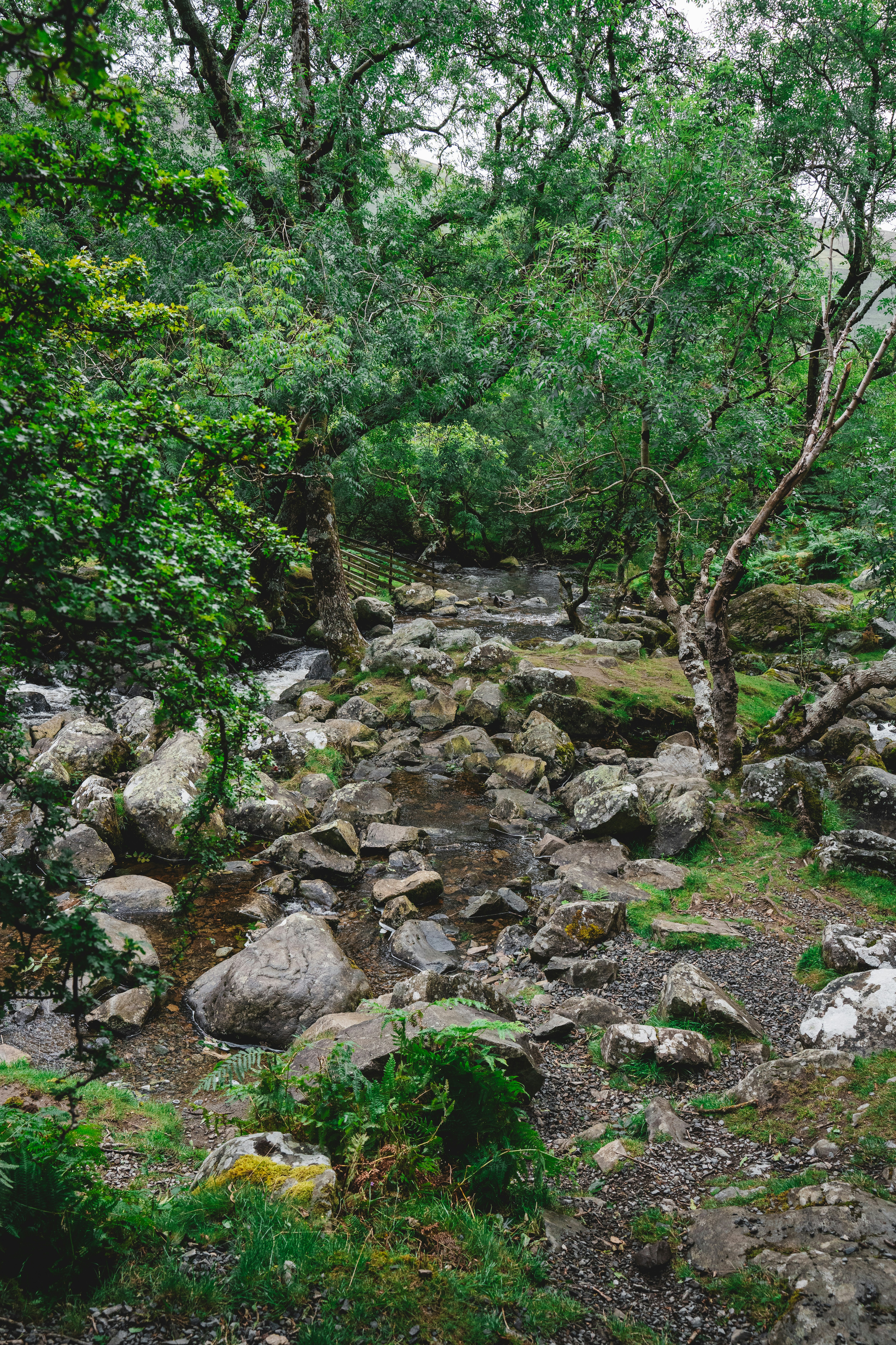 Photo by clementproust