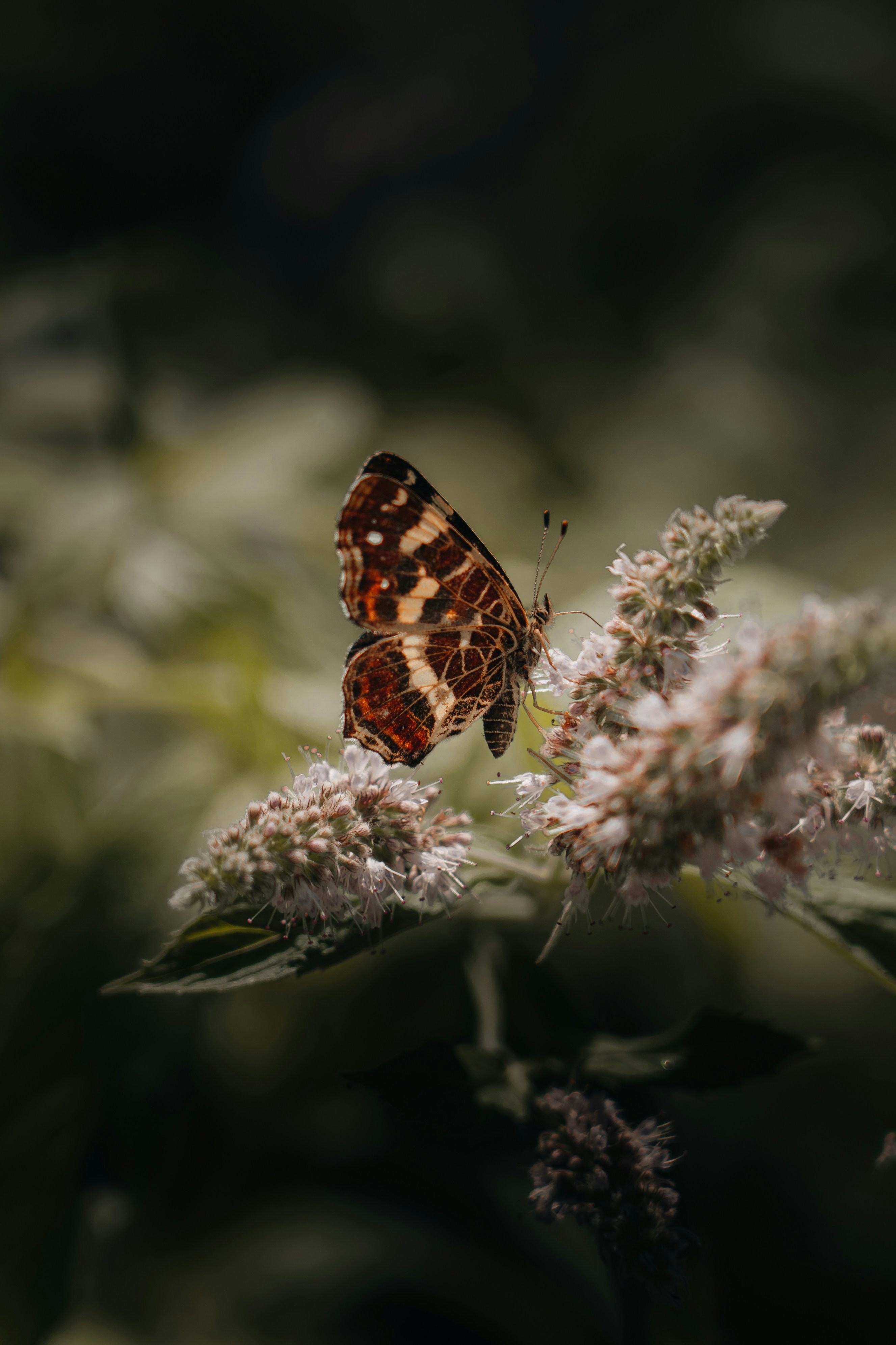 Le projet de loi à l'épreuve du Parlement. Épisode 7