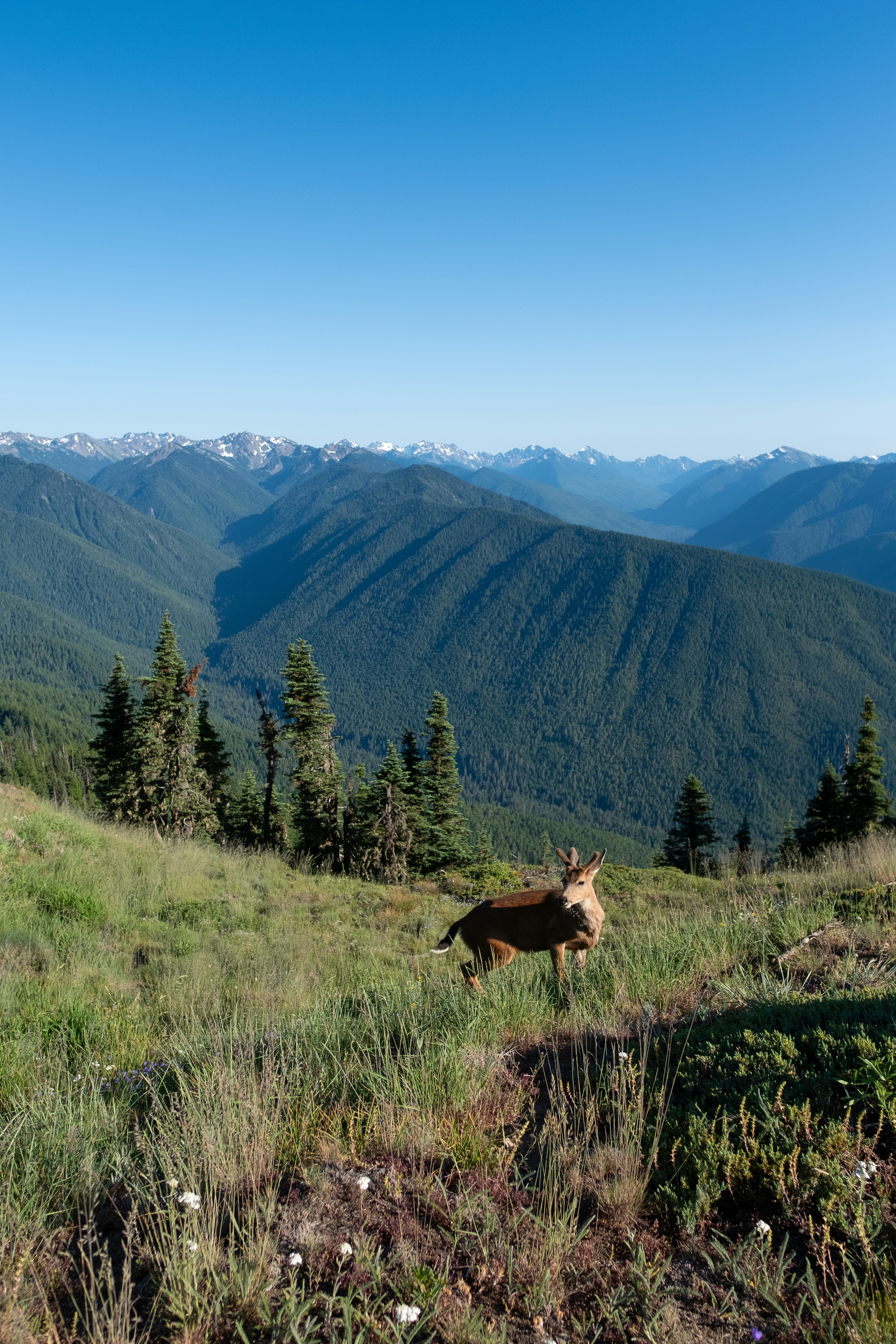 Keeping a Safe Distance (image credits: unsplash)
