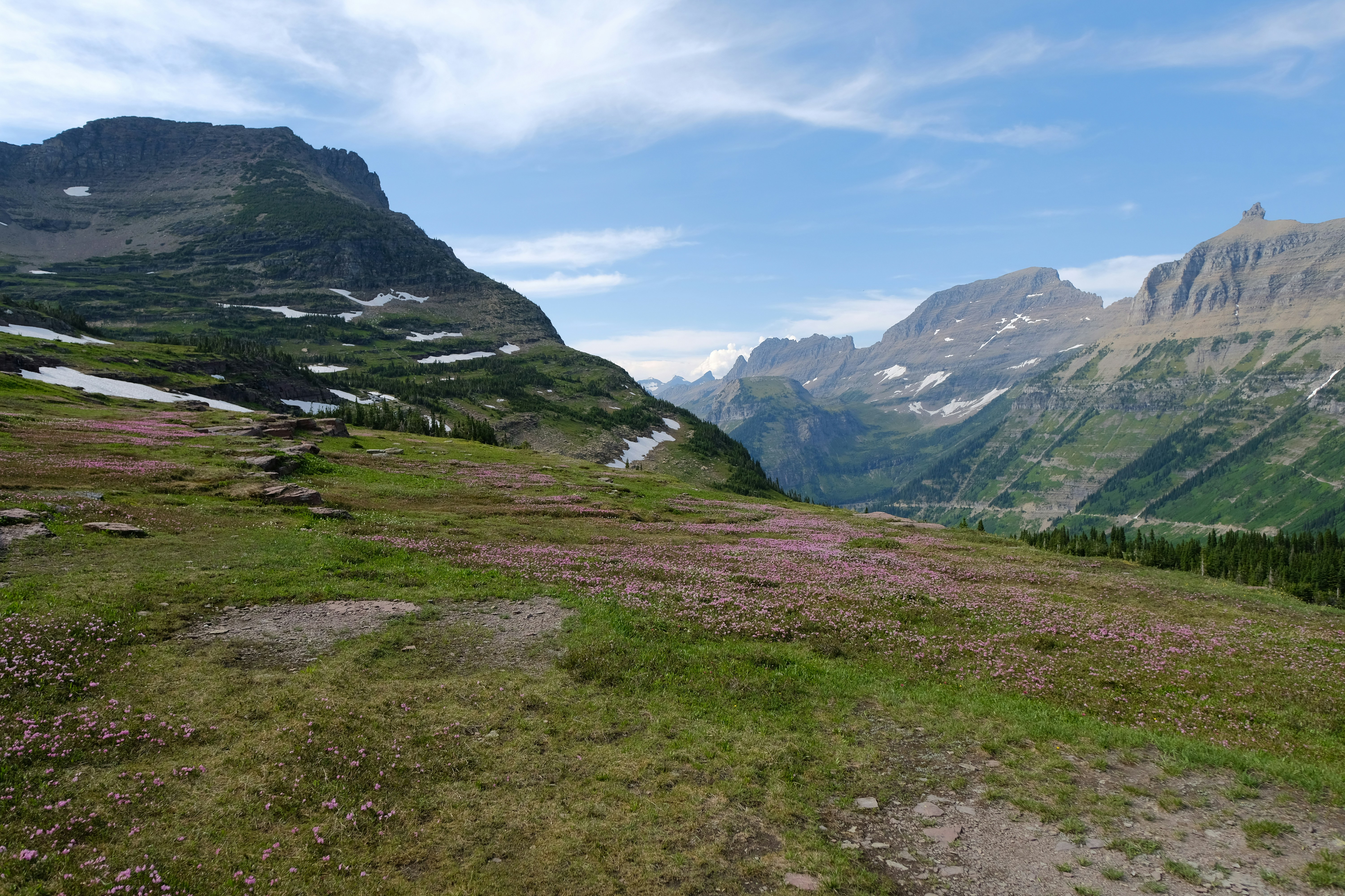 A grassy field with a mountain in the background