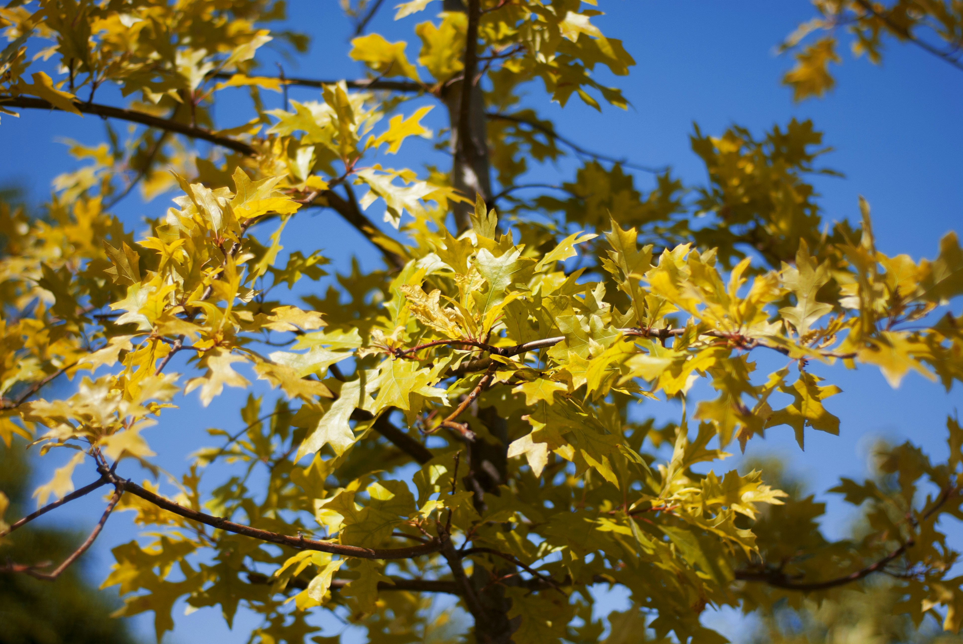 Photo by kovalskihelga