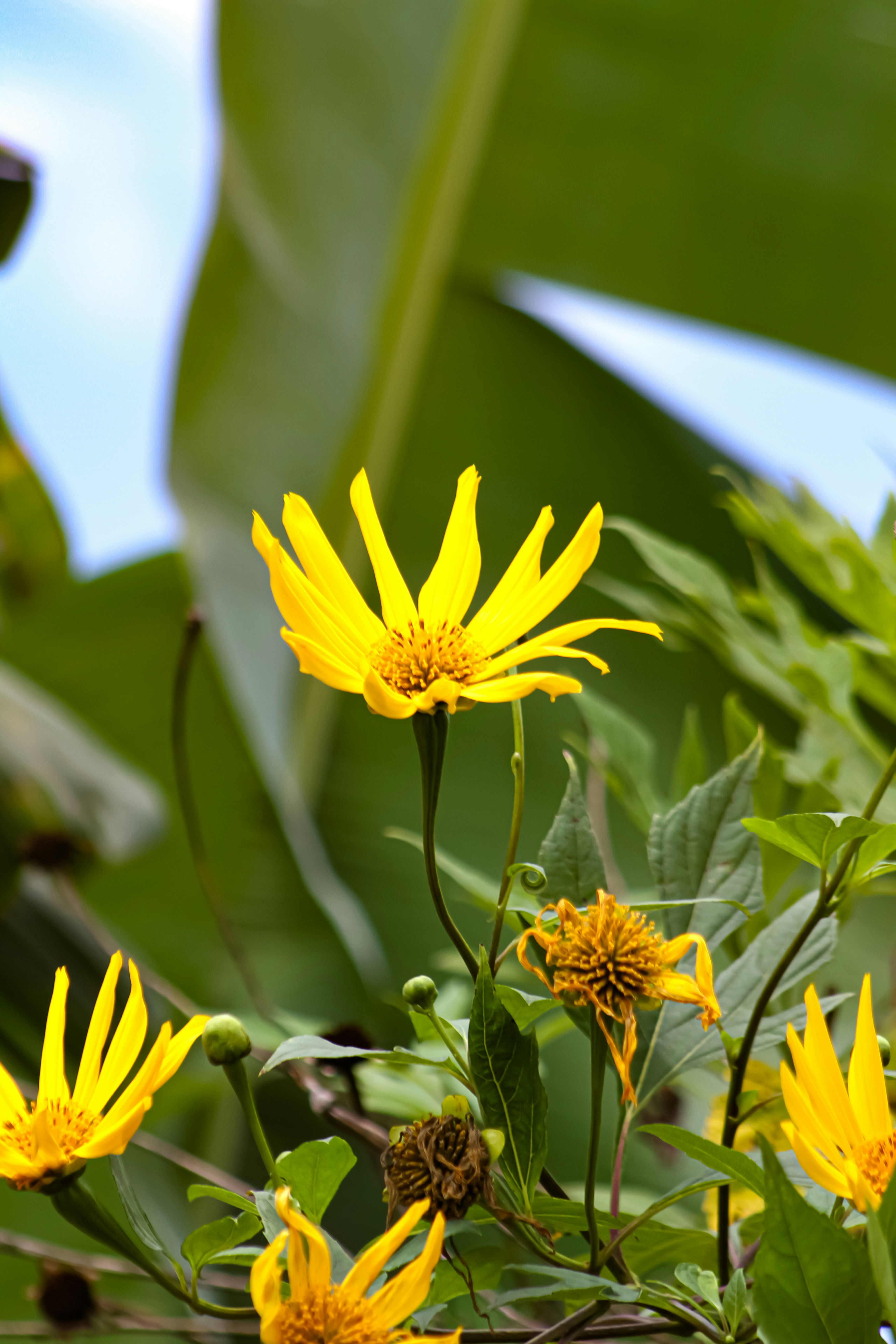 Photo by najoi_designer