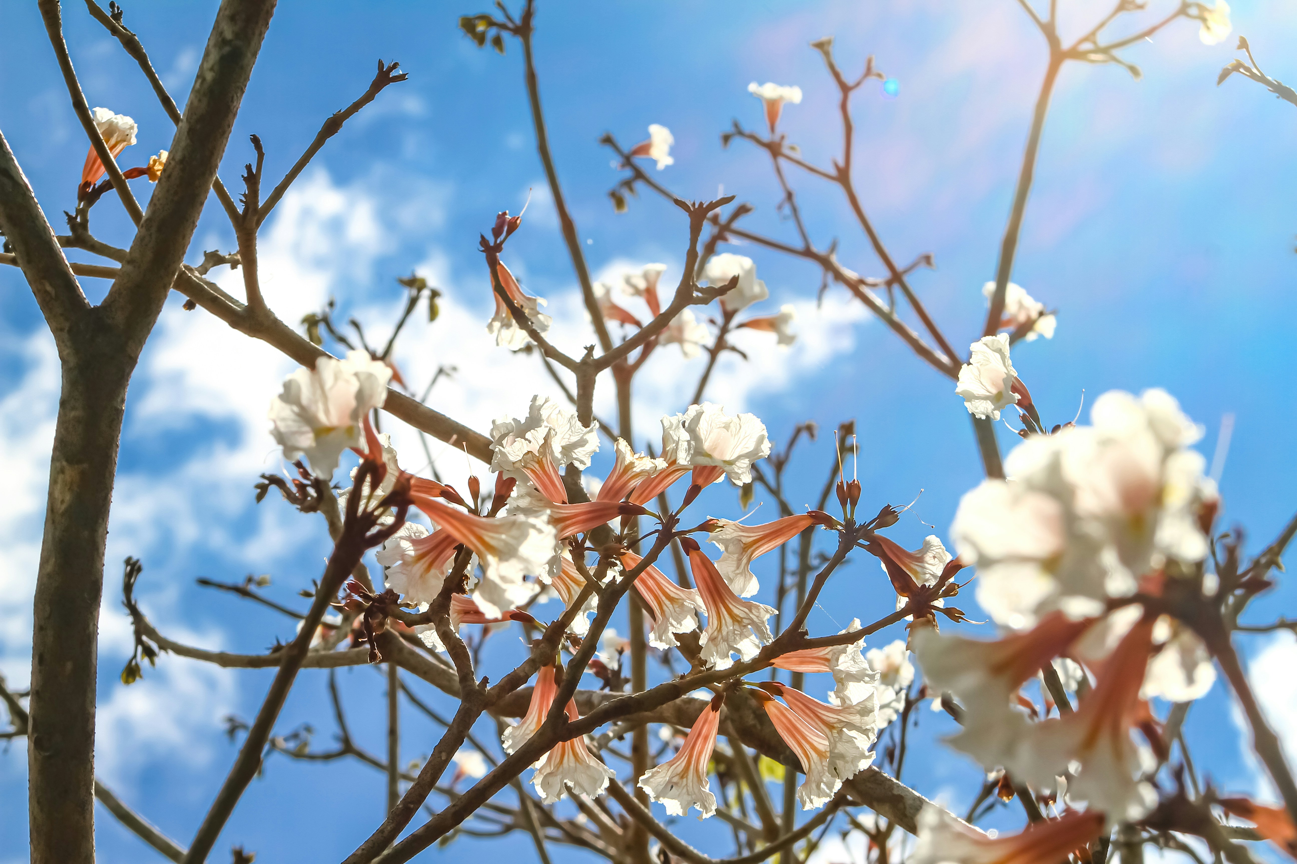 Photo by najoi_designer