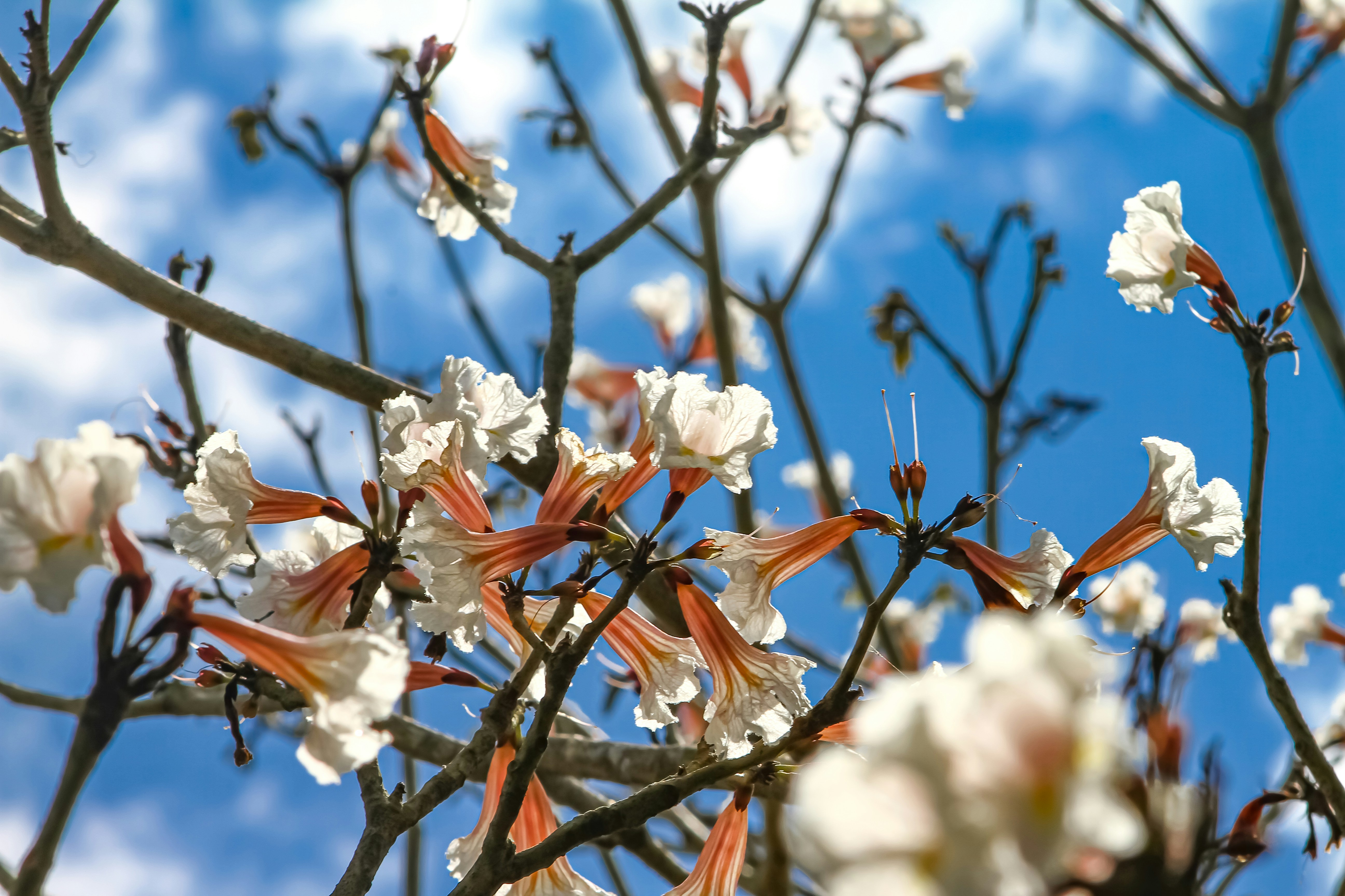 Photo by najoi_designer