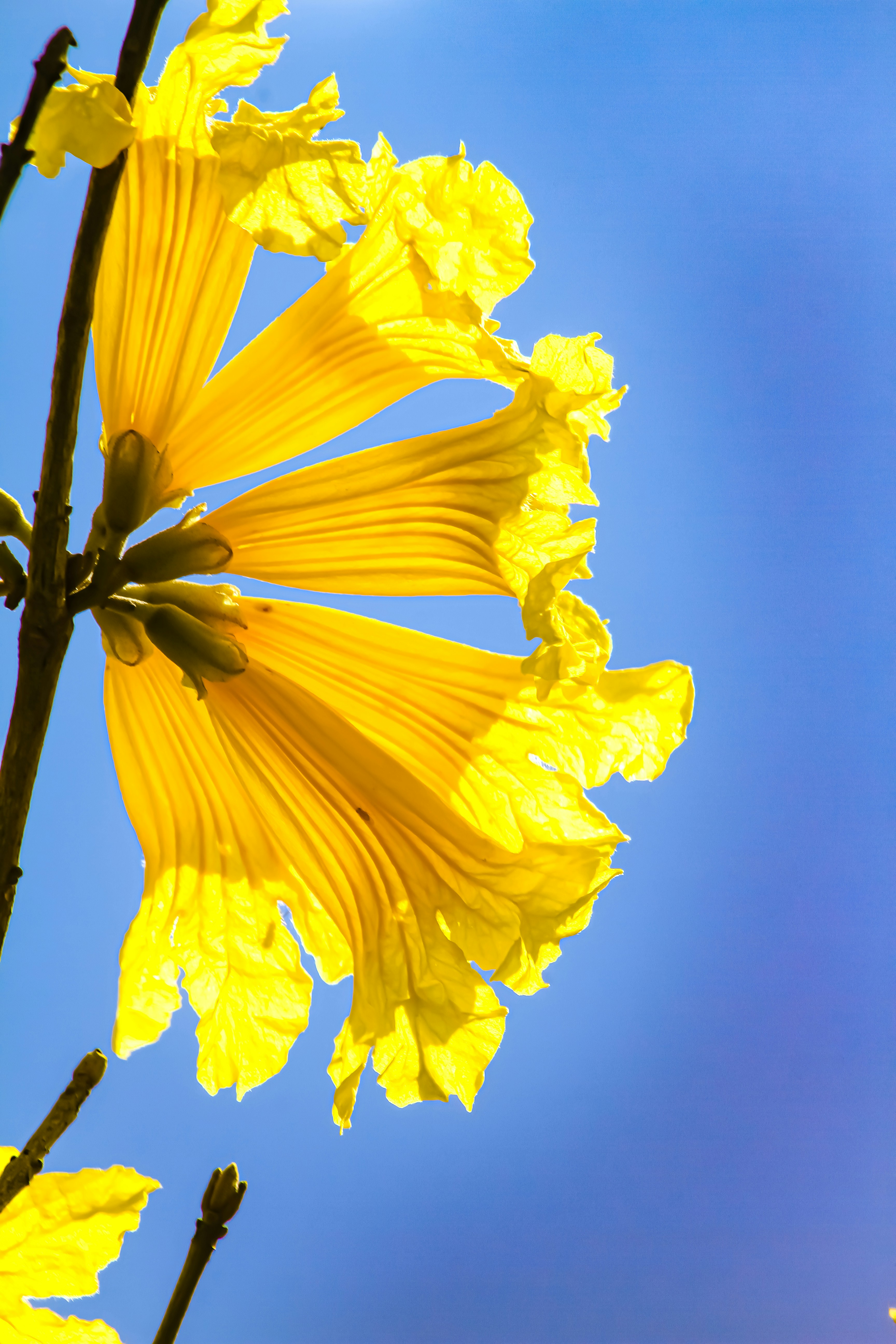 Photo by najoi_designer