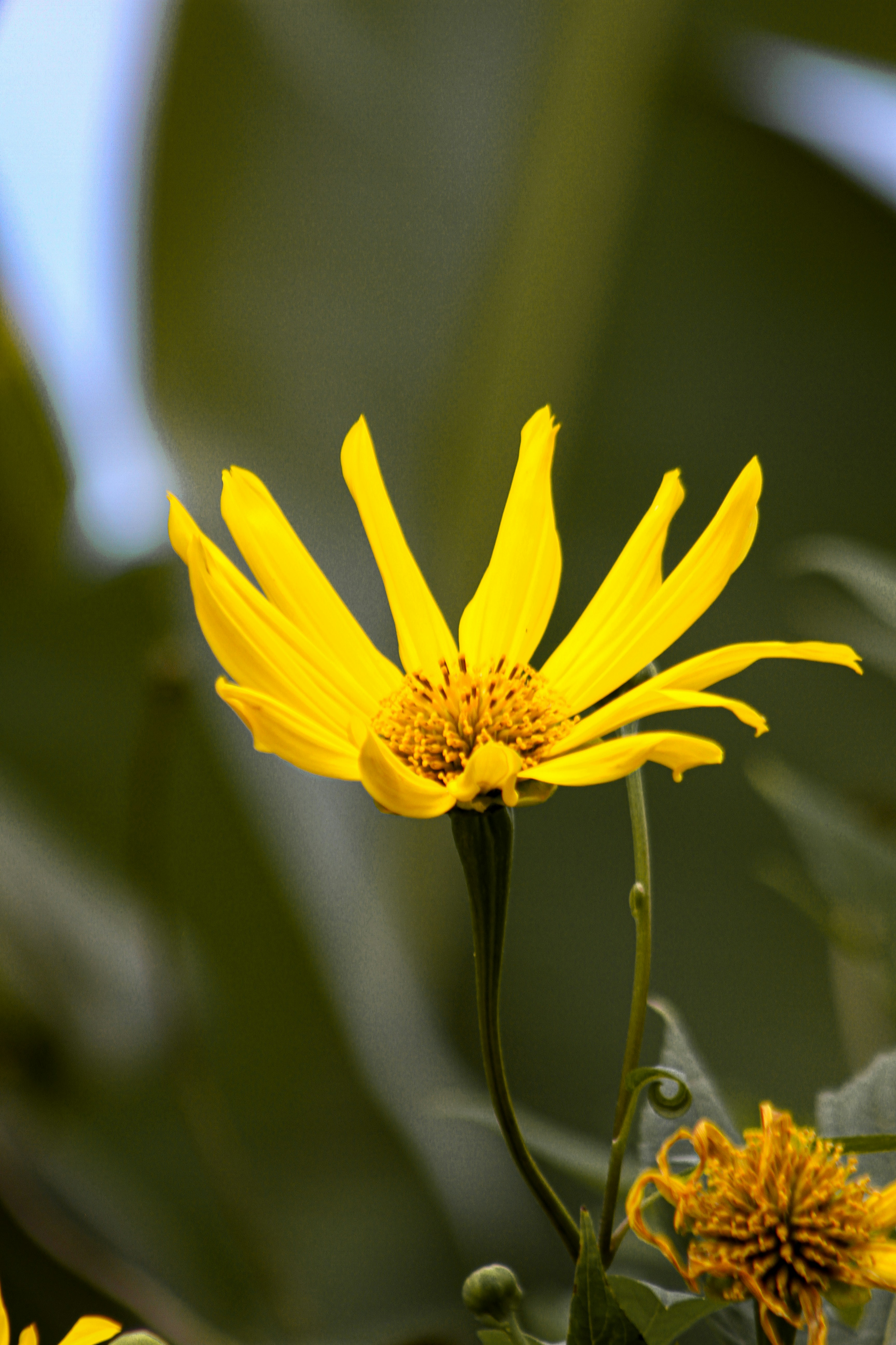 Photo by najoi_designer