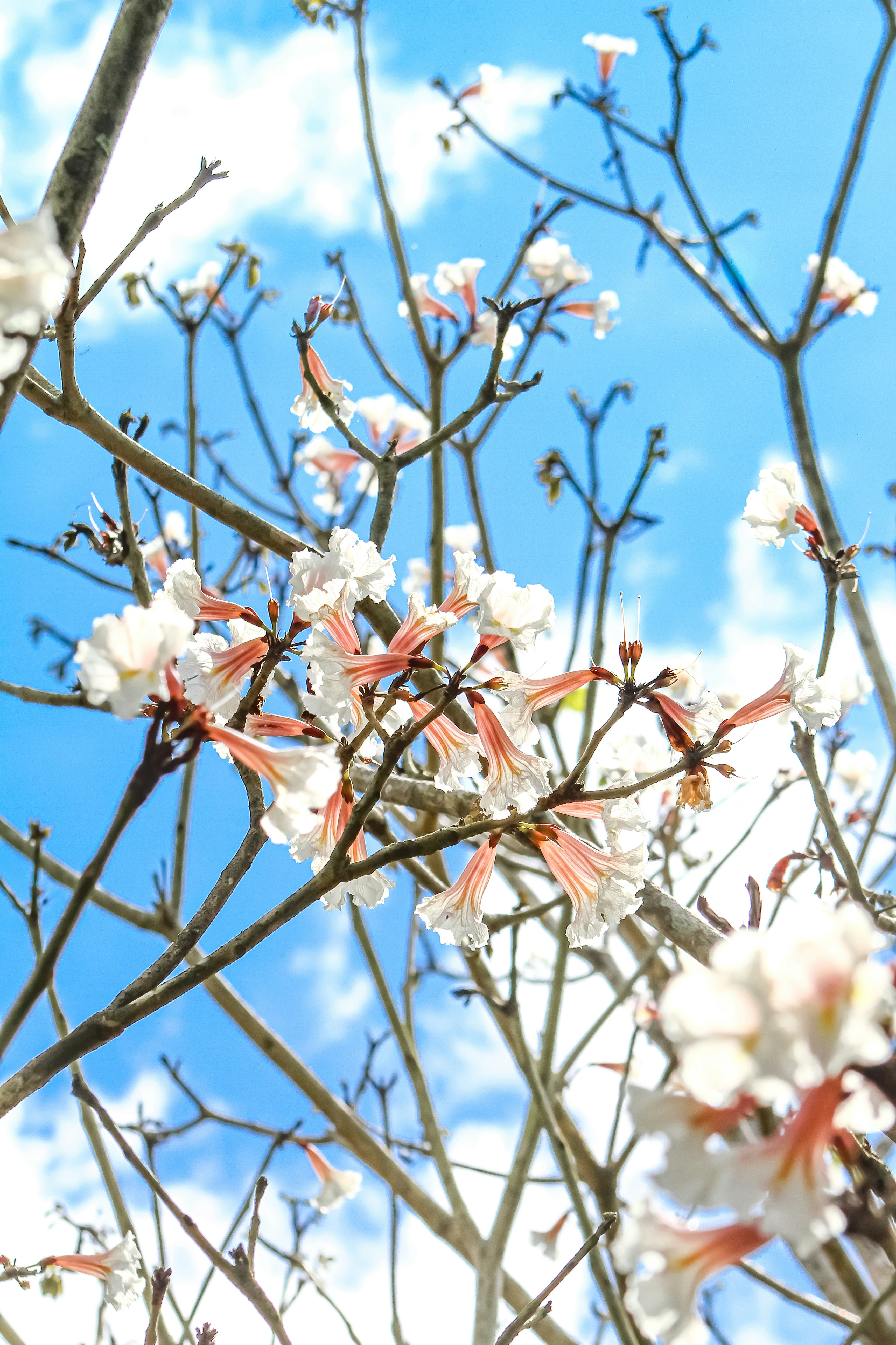 Photo by najoi_designer