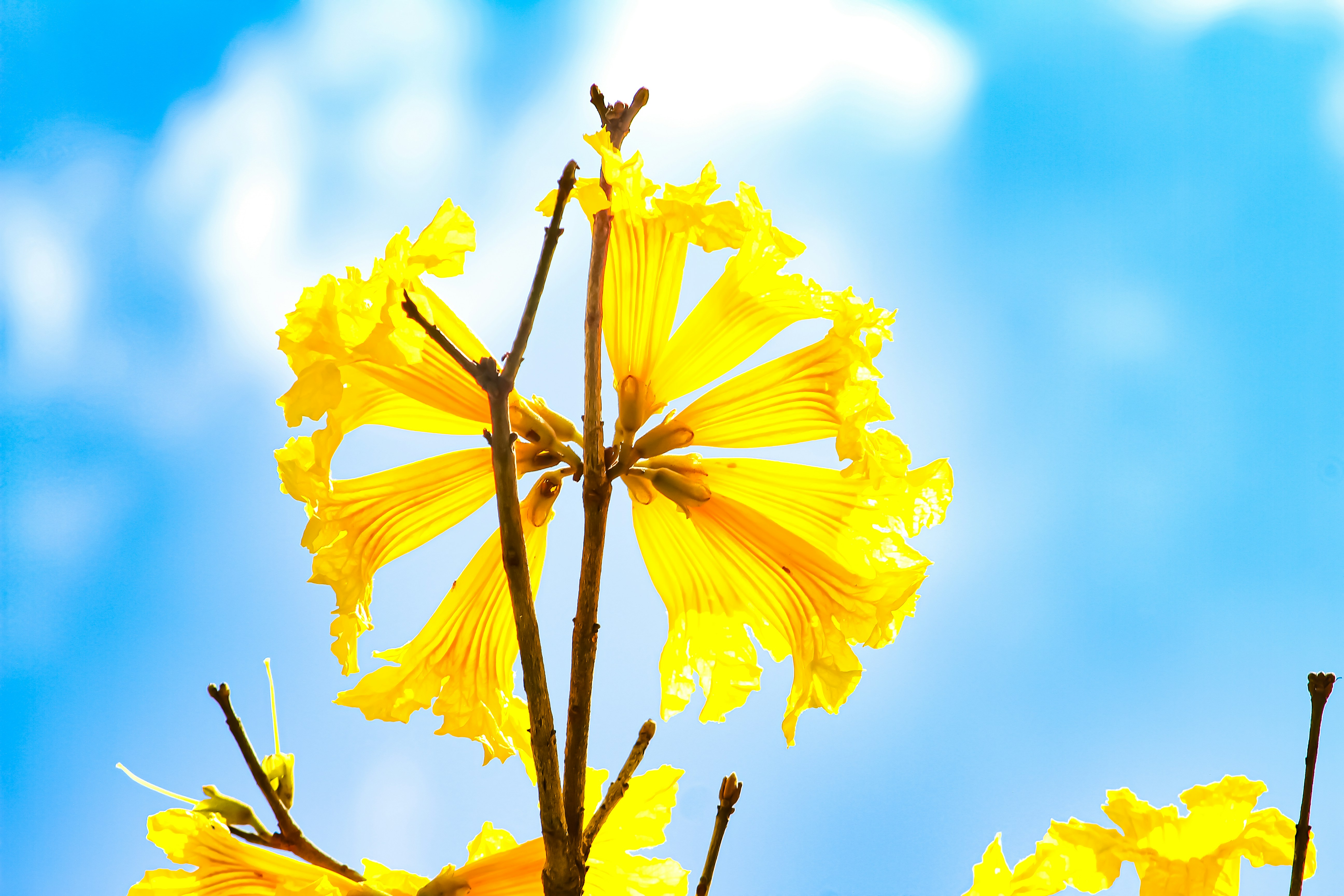 Photo by najoi_designer