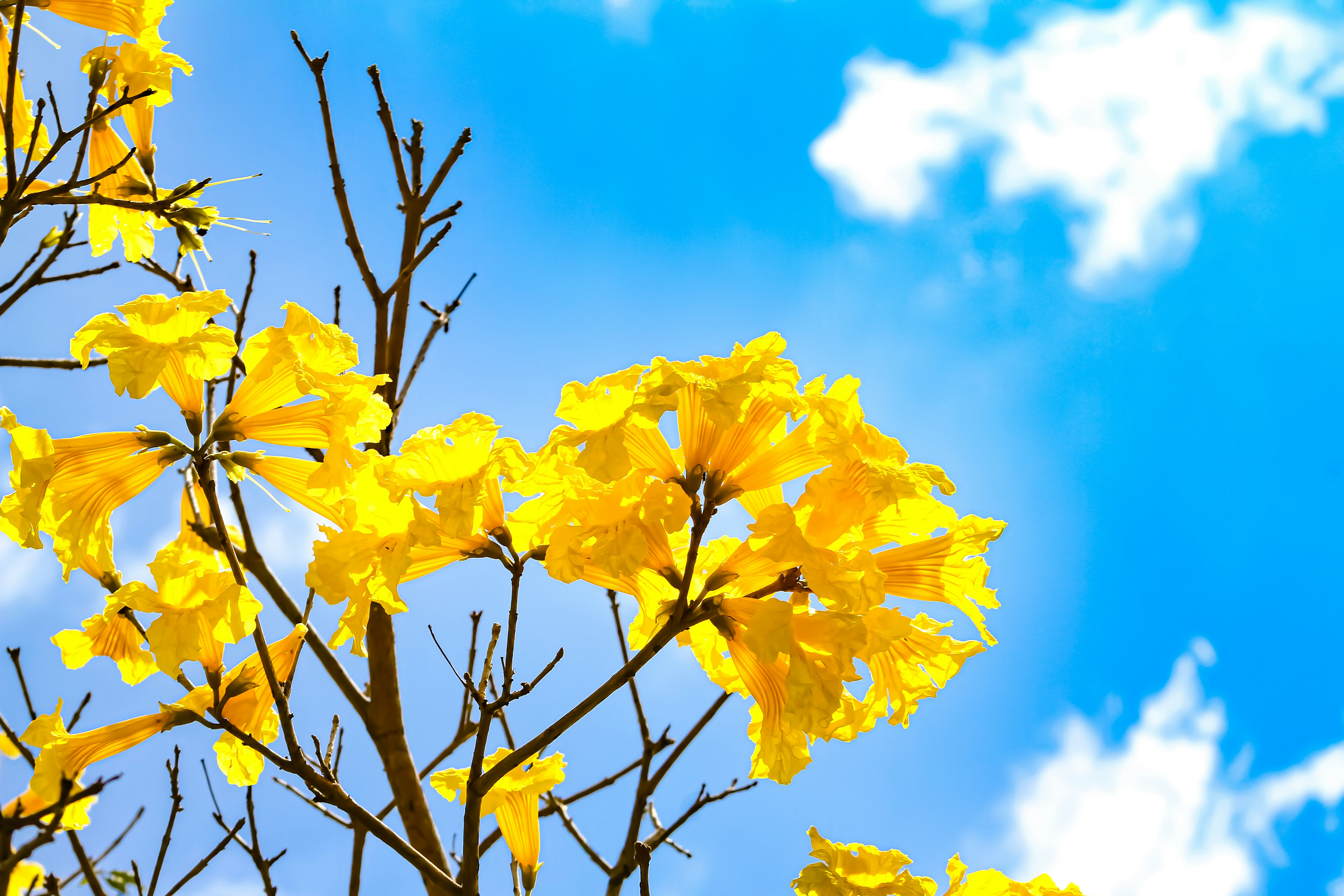 Photo by najoi_designer