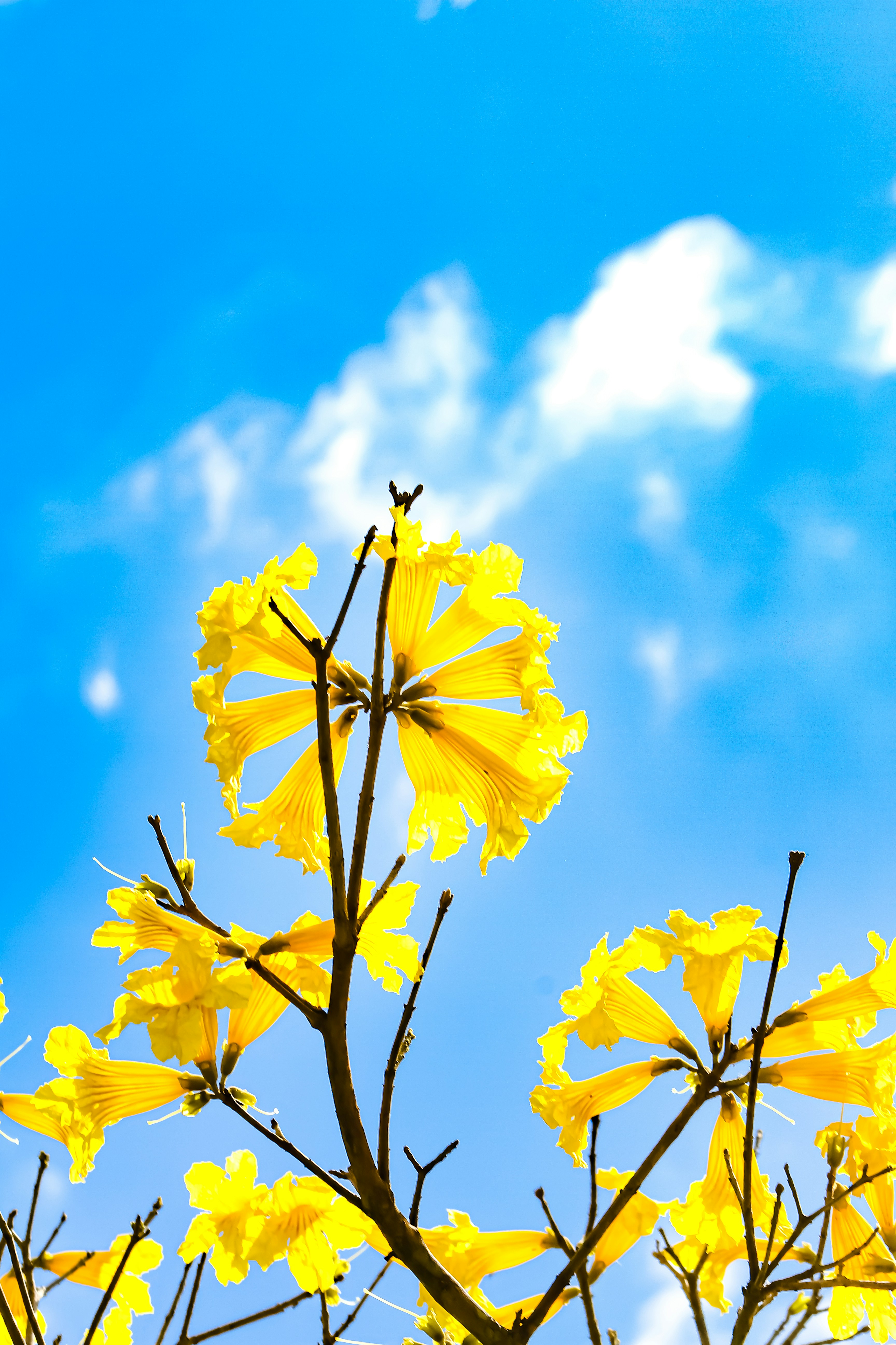 Photo by najoi_designer