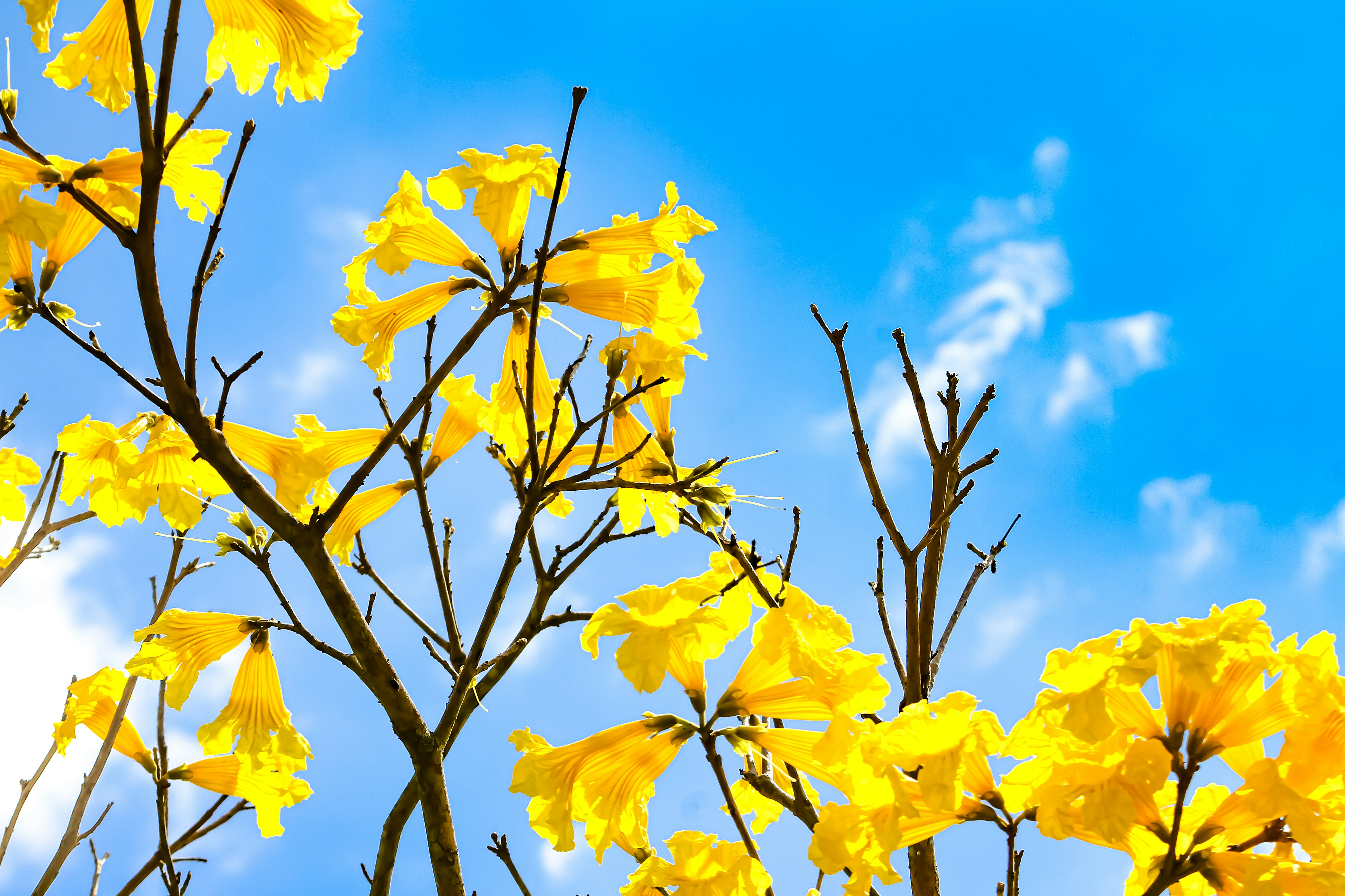 Photo by najoi_designer