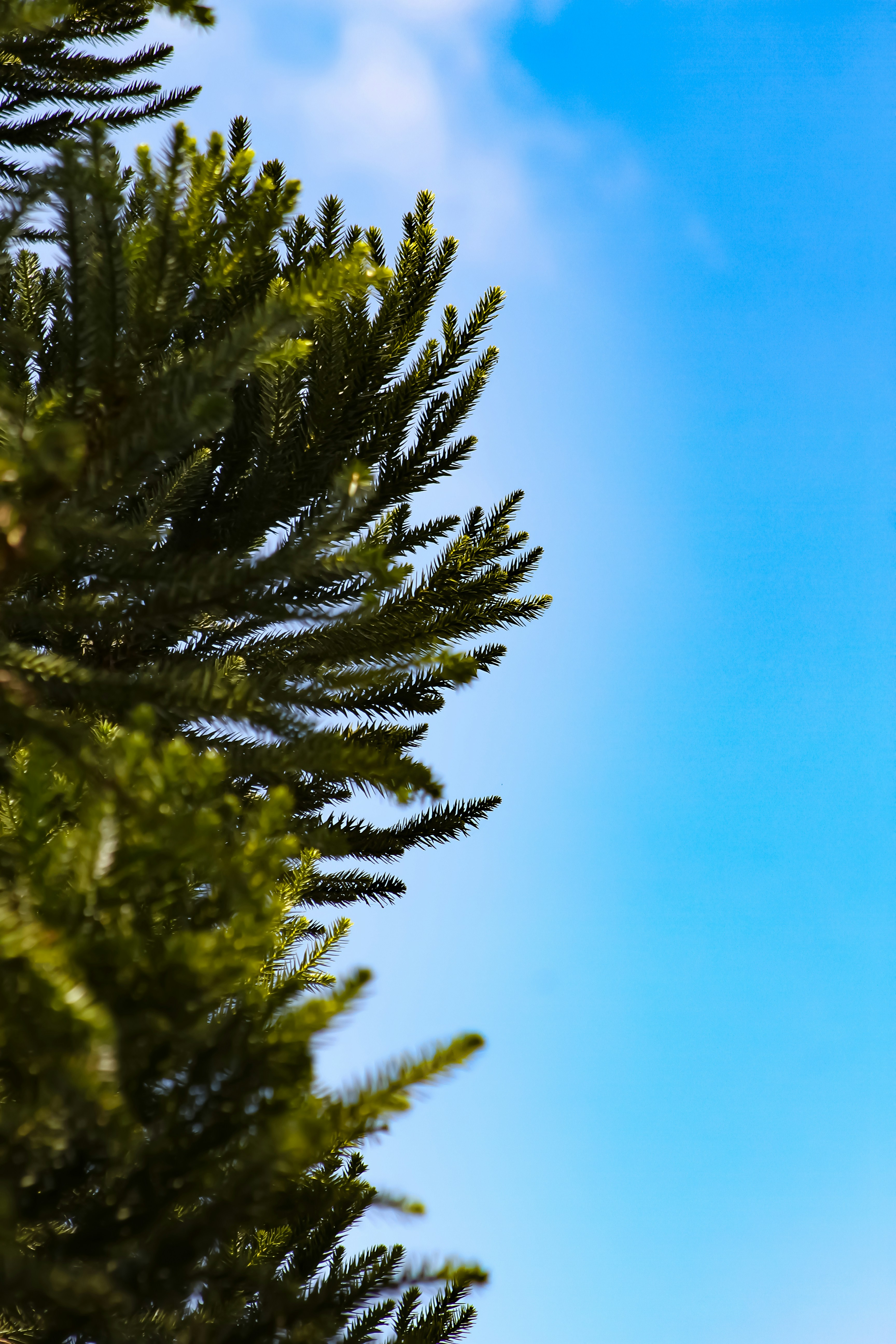 Photo by najoi_designer