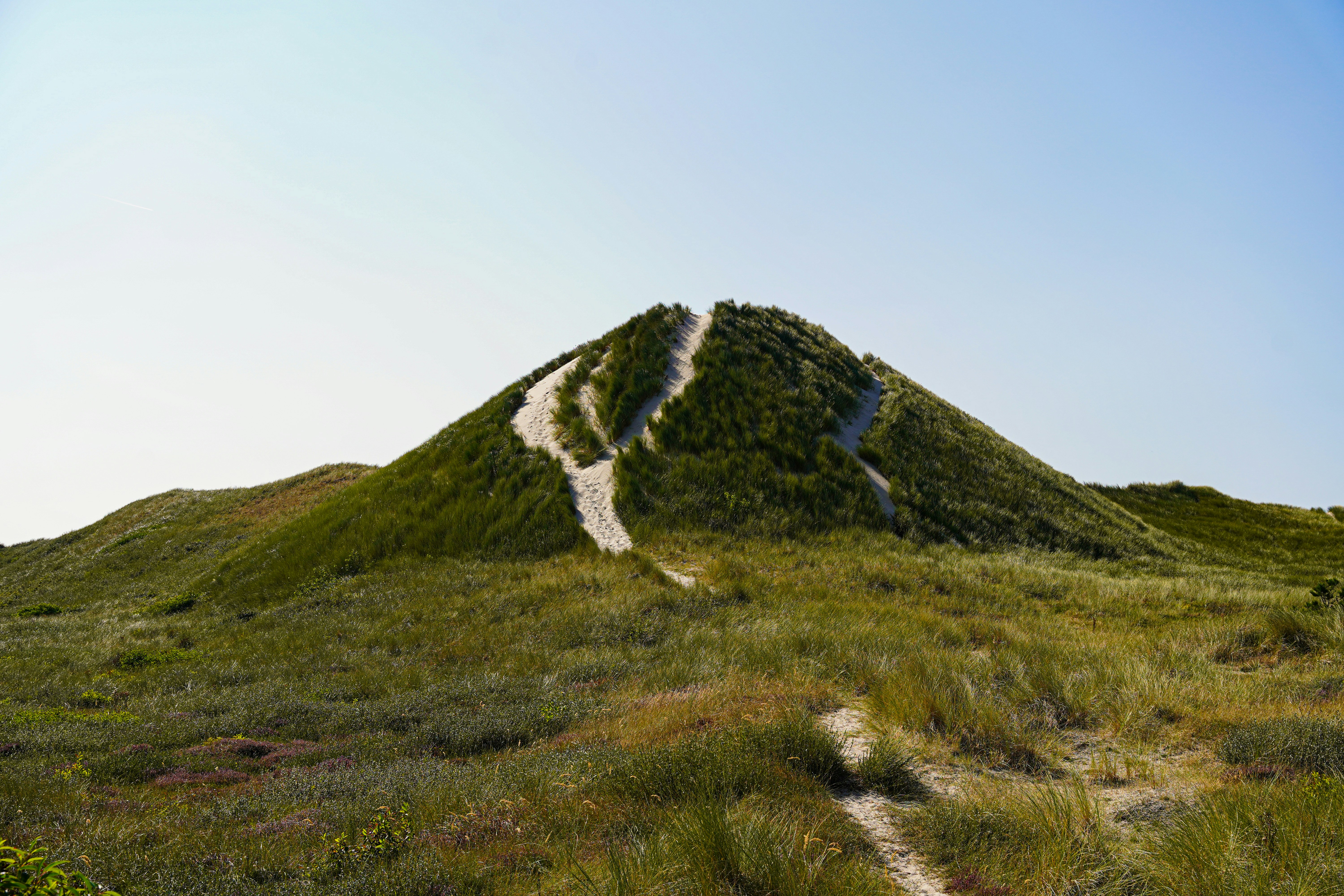 A grassy hill with a trail going up it