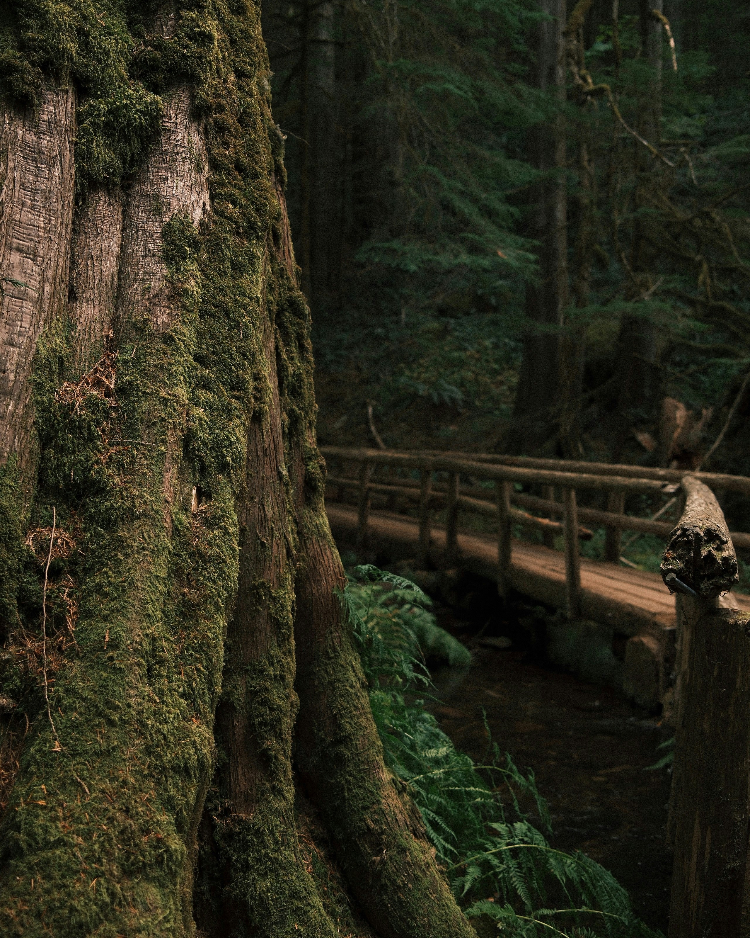 Photo by jackseeberryphoto