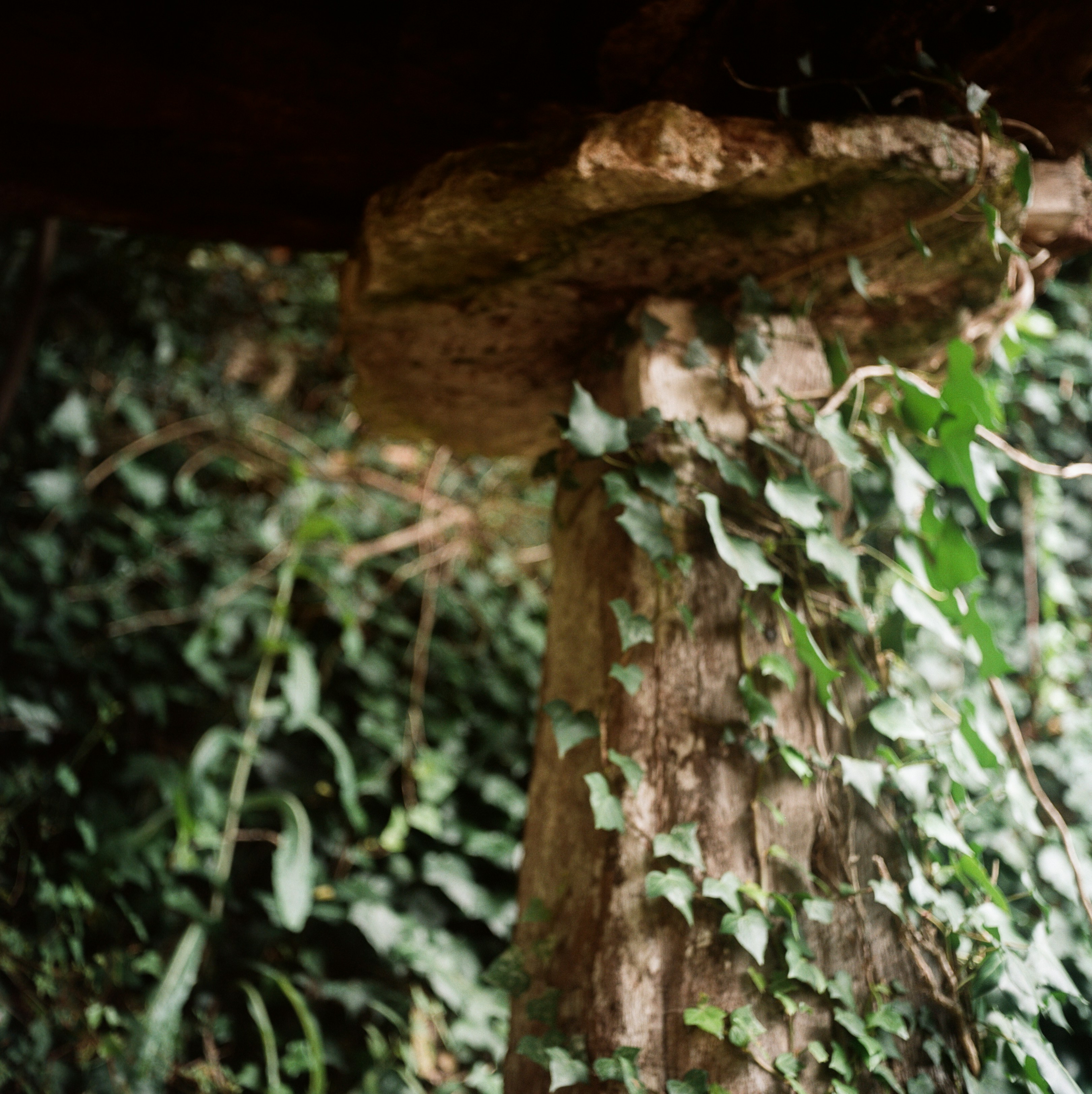 Photo by tomporelmonte