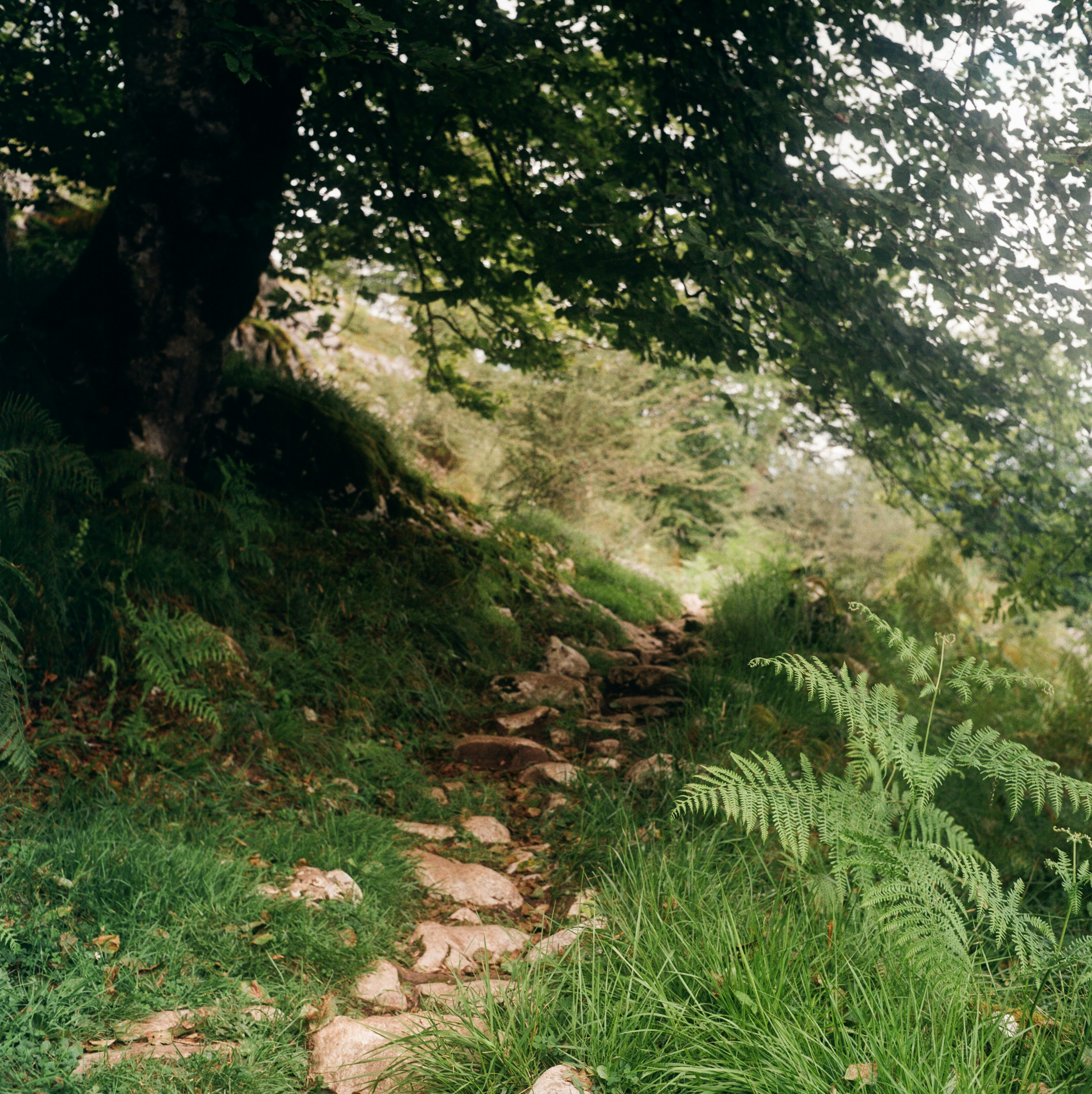 Photo by tomporelmonte