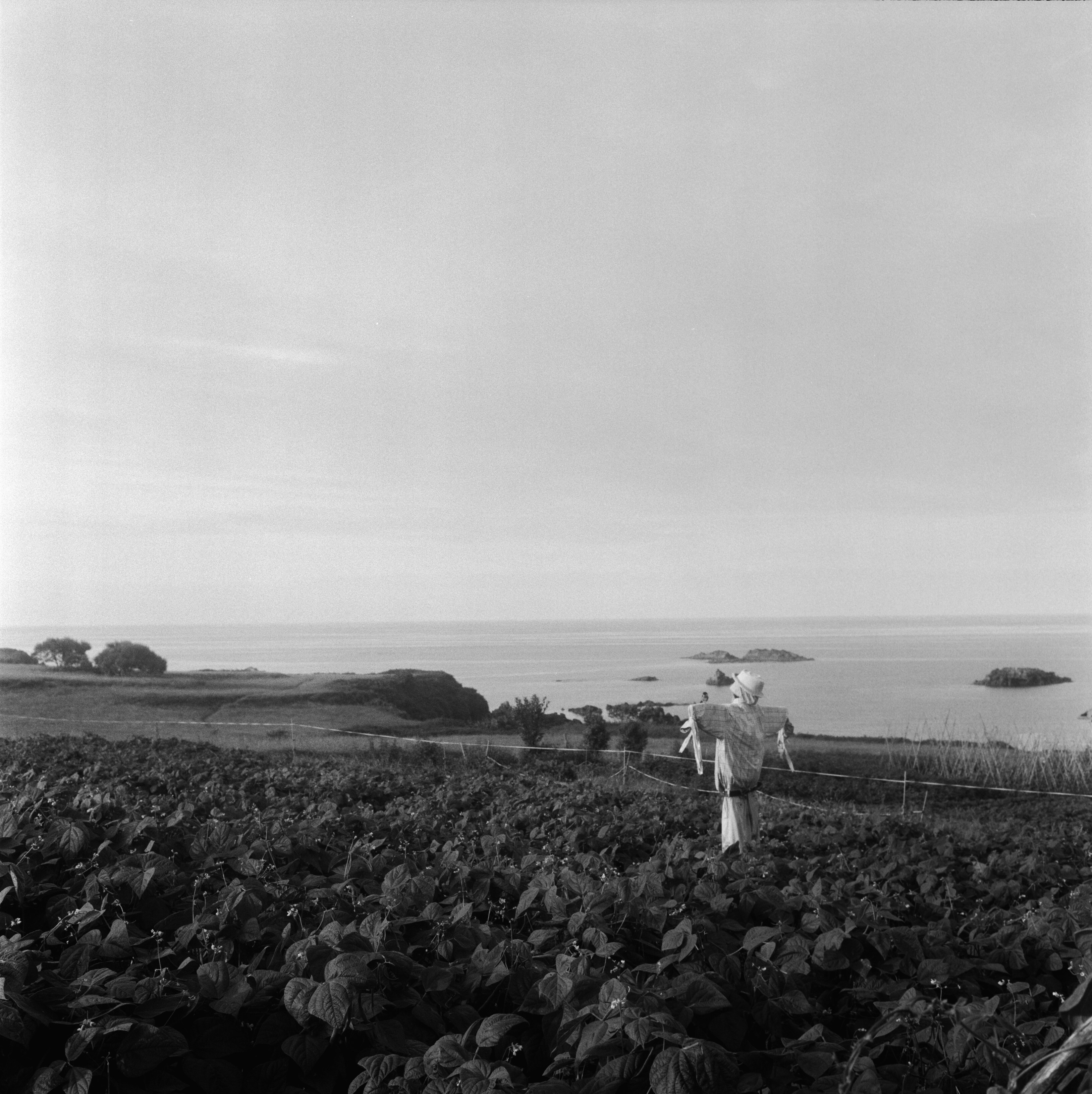 Photo by tomporelmonte