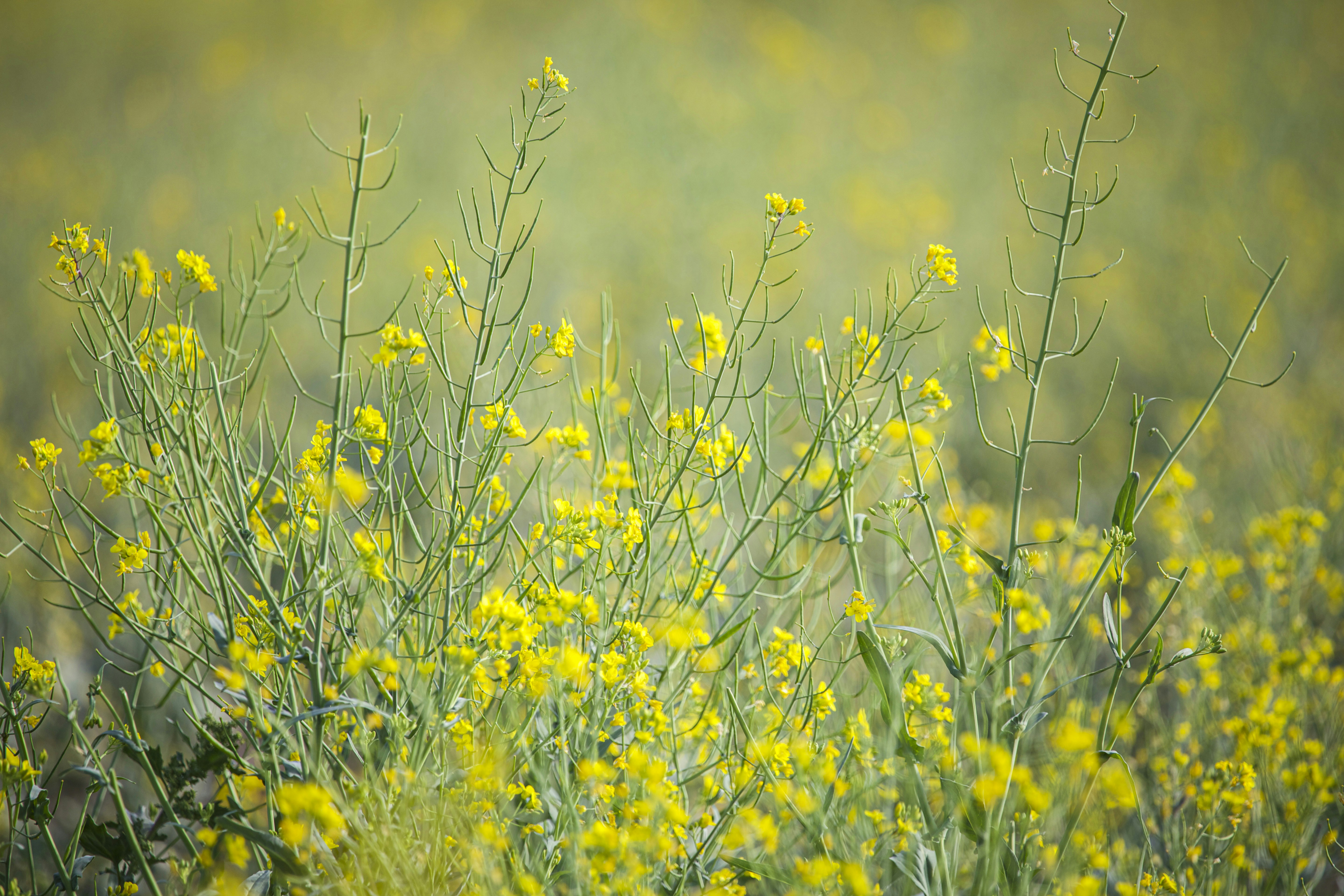 Photo by matthewmentley