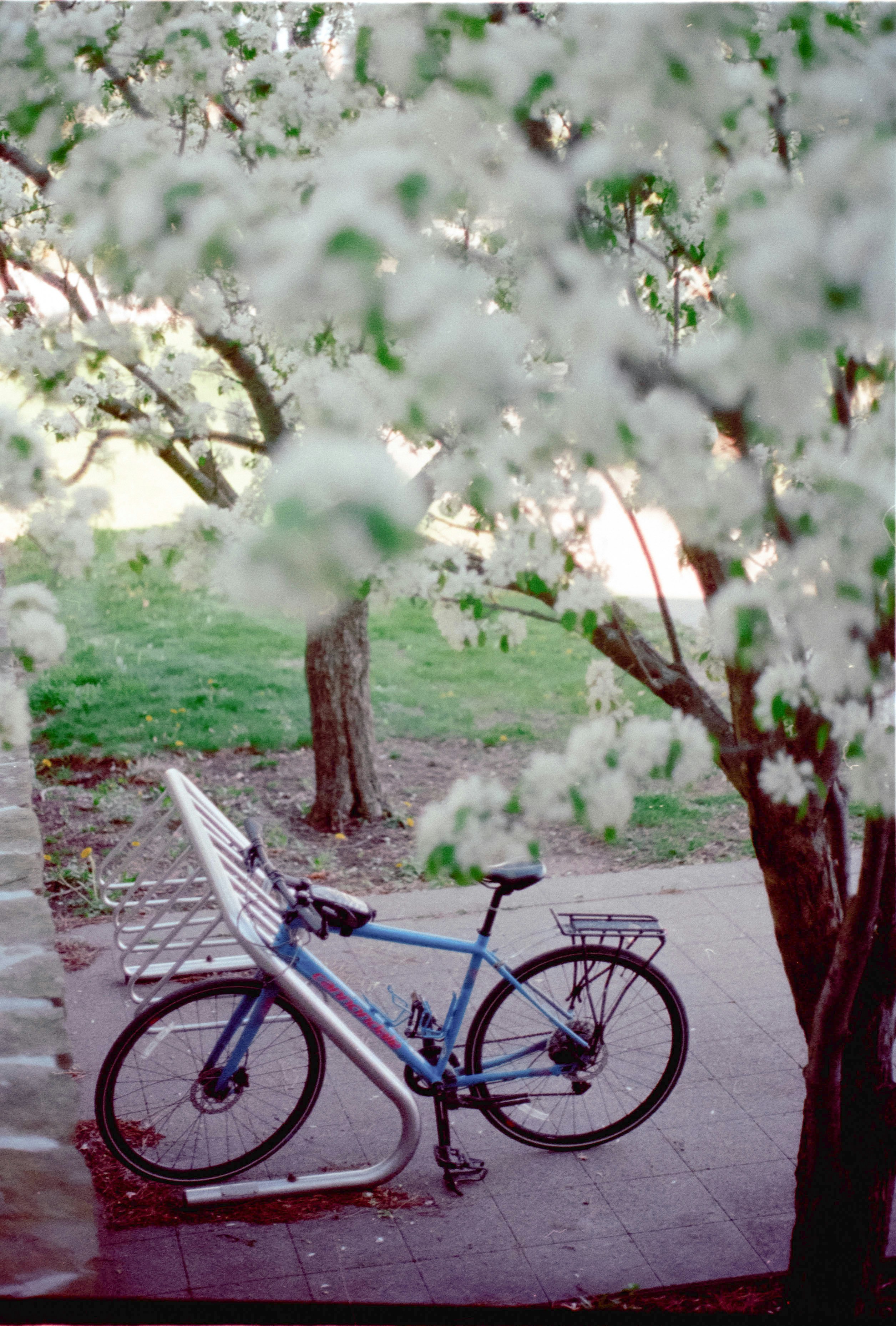 Photo by austin_7792