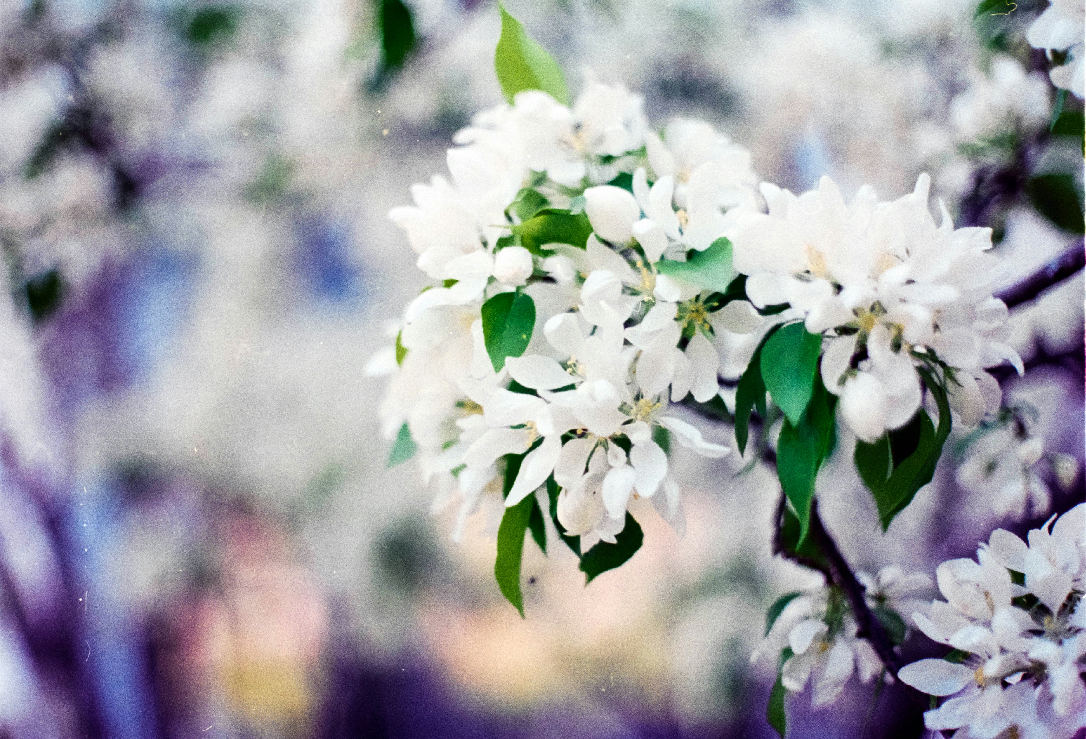 Photo by austin_7792