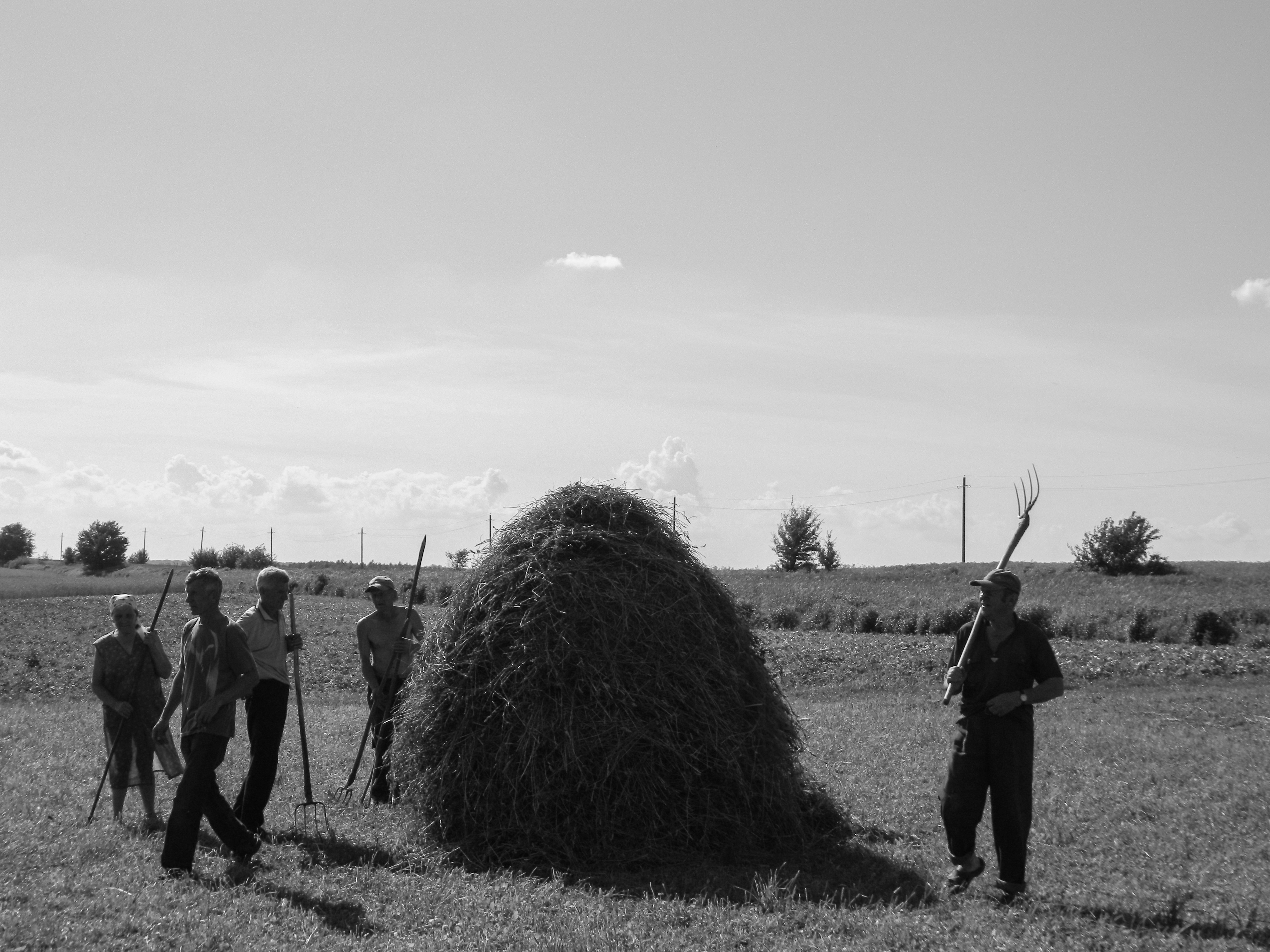 2026년 청년농업인 스마트팜 지원금 최대 4.4억 받는 법! 영농정착지원금 월 110만원 자격, 신청 기간 총정리