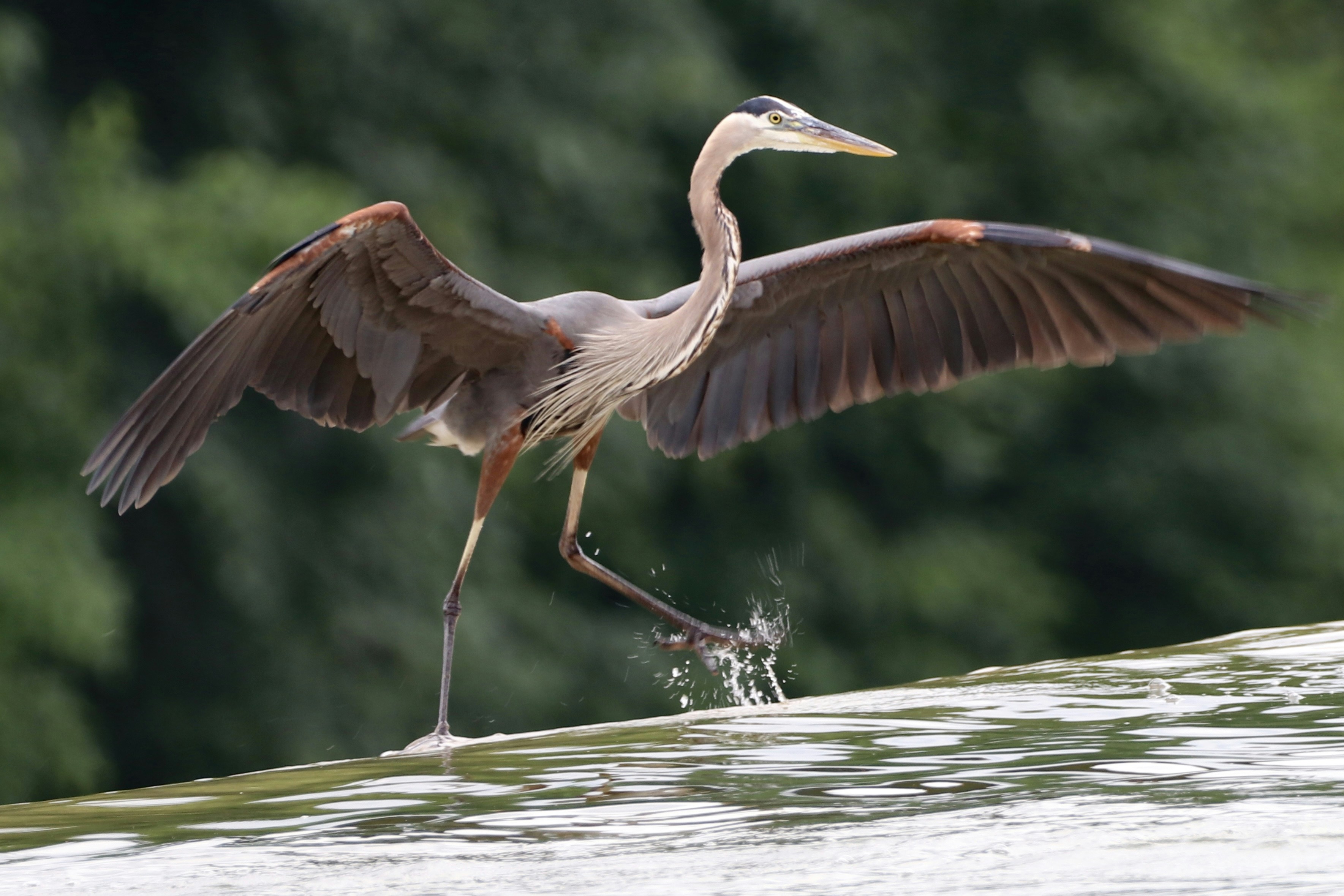 Photo by paulwrentmore