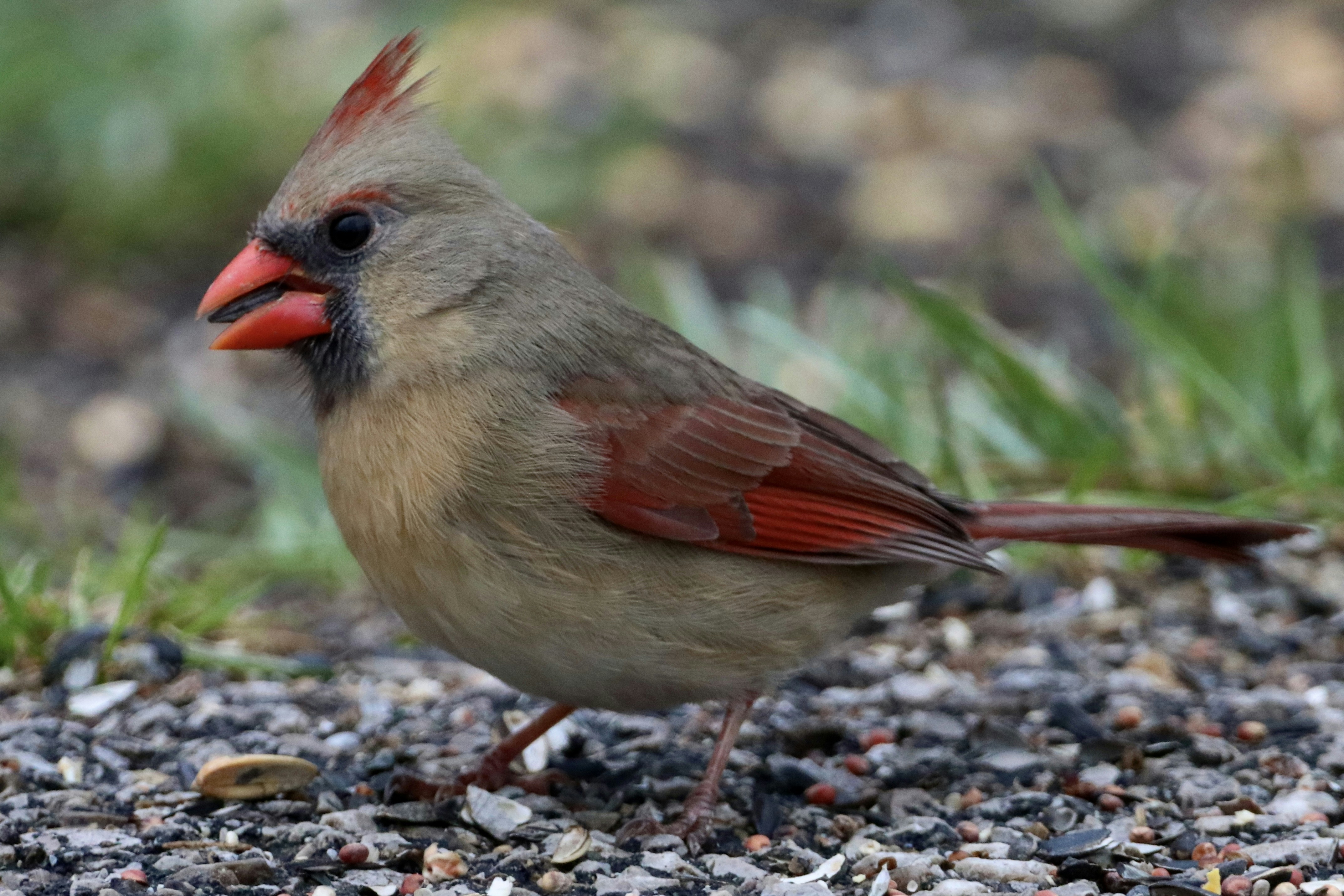 Photo by paulwrentmore