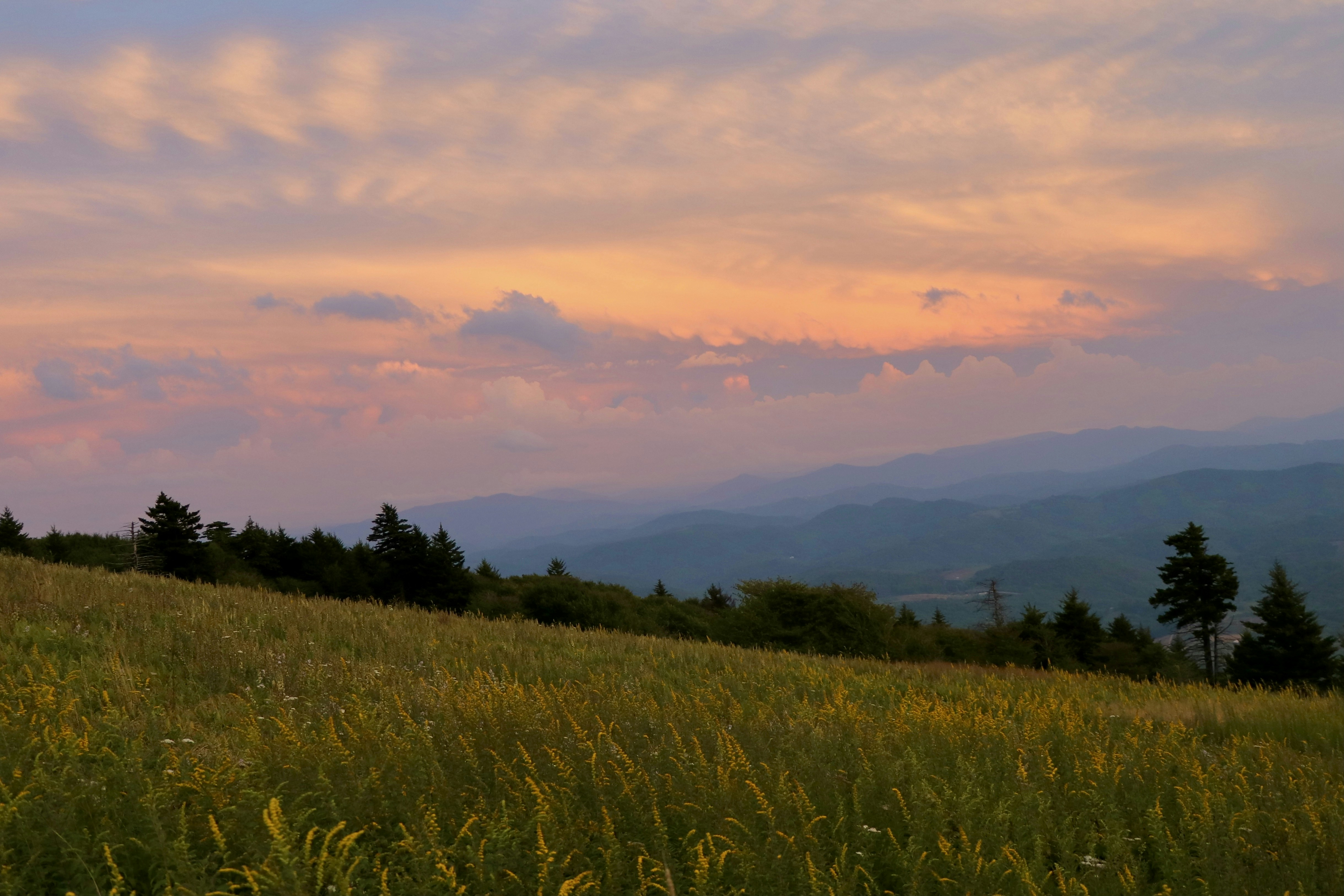 Photo by paulwrentmore