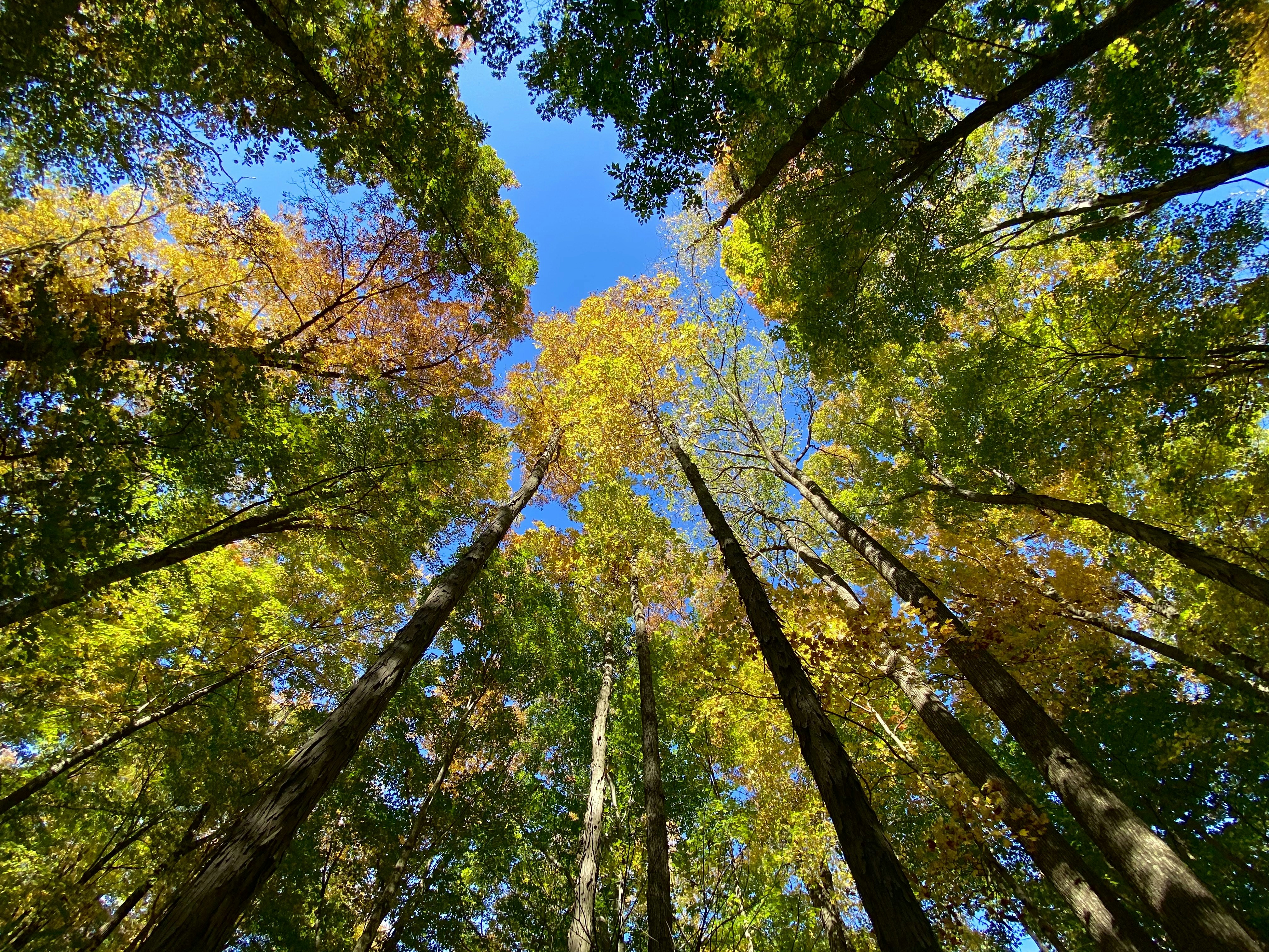 Photo by paulwrentmore