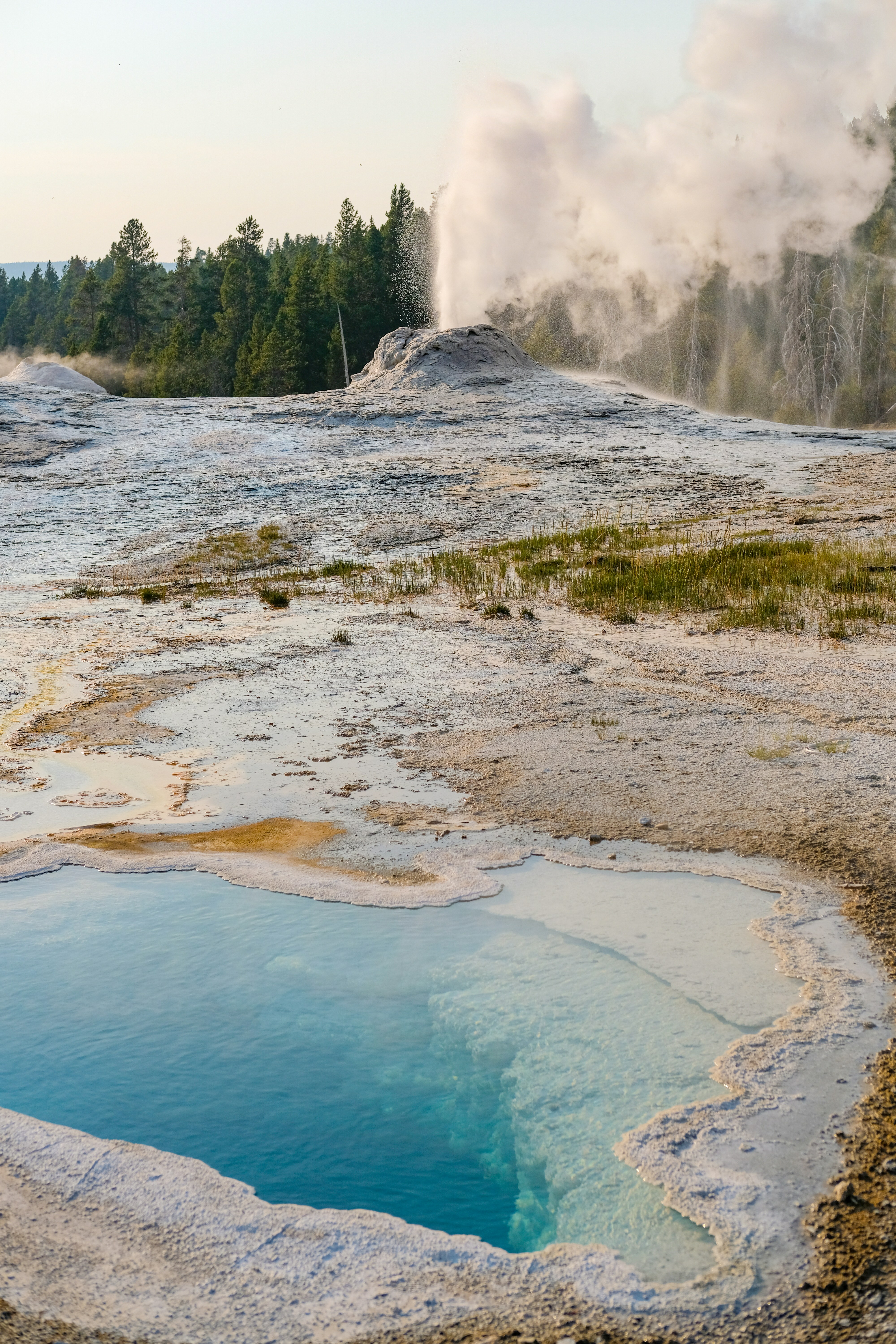 계약 상담 장면