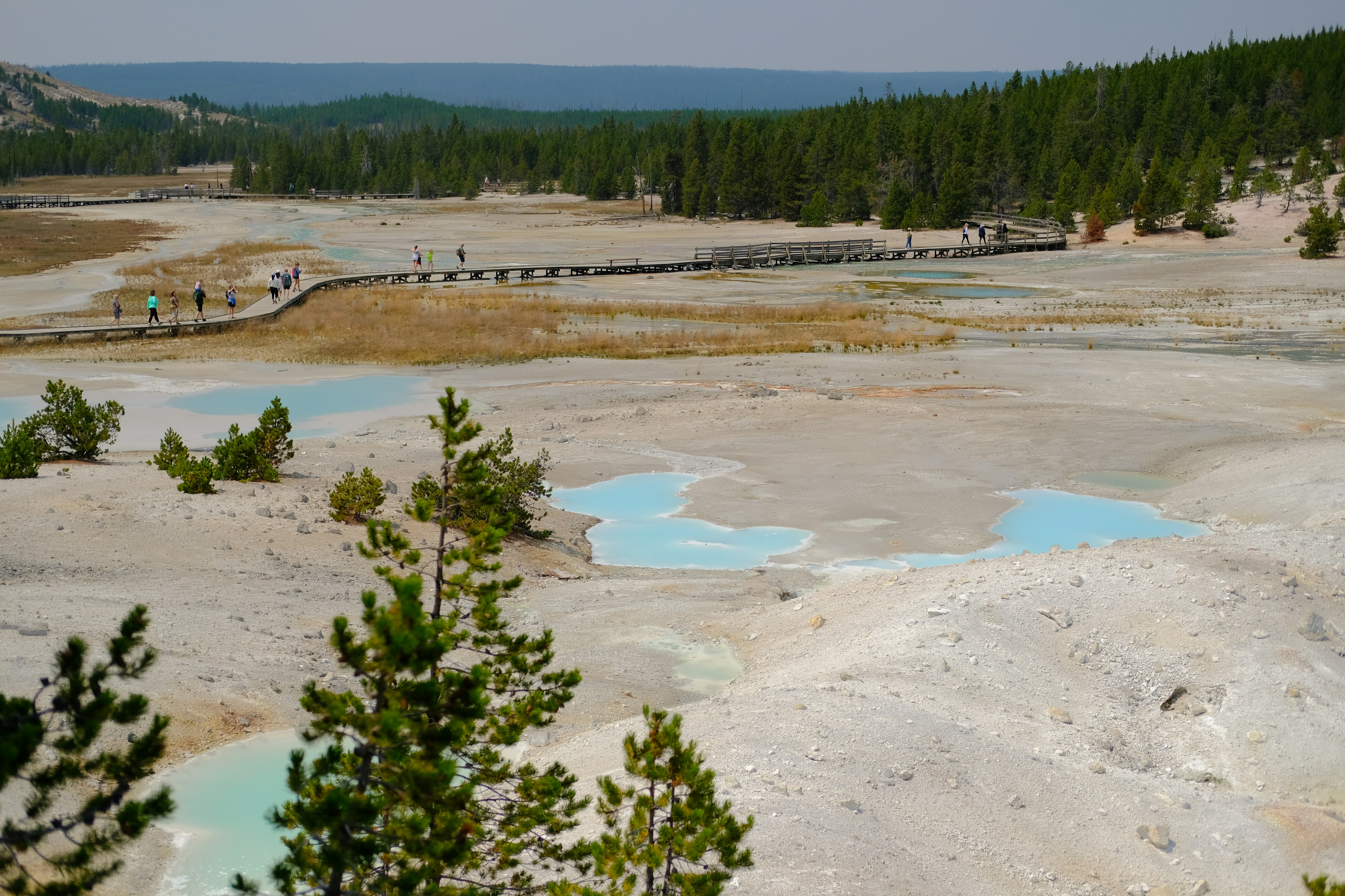 궁금증 폭발! 과학적 즐거움 찾아 떠나는 배움 어드벤처🚀