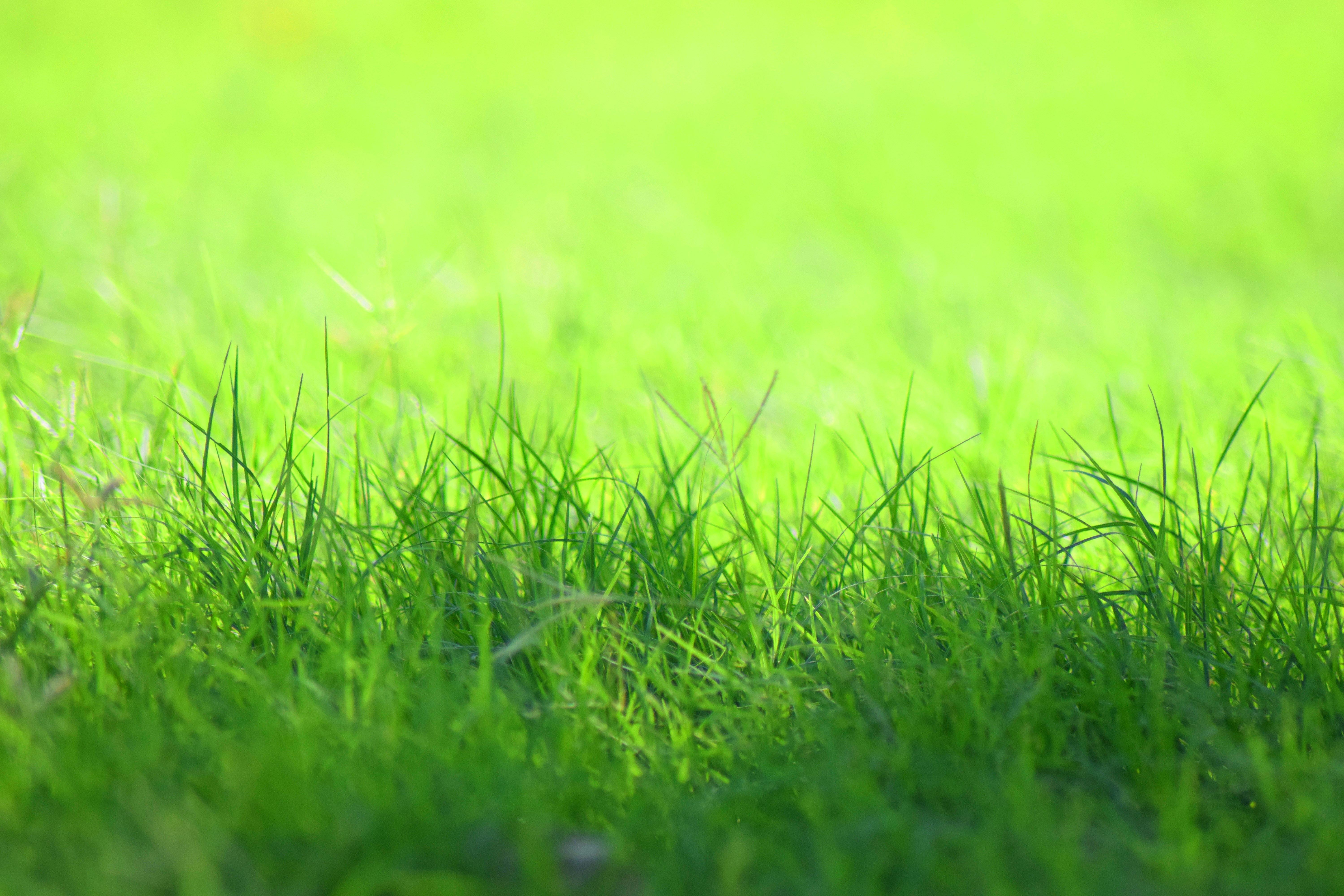 Photo by jayopeniano