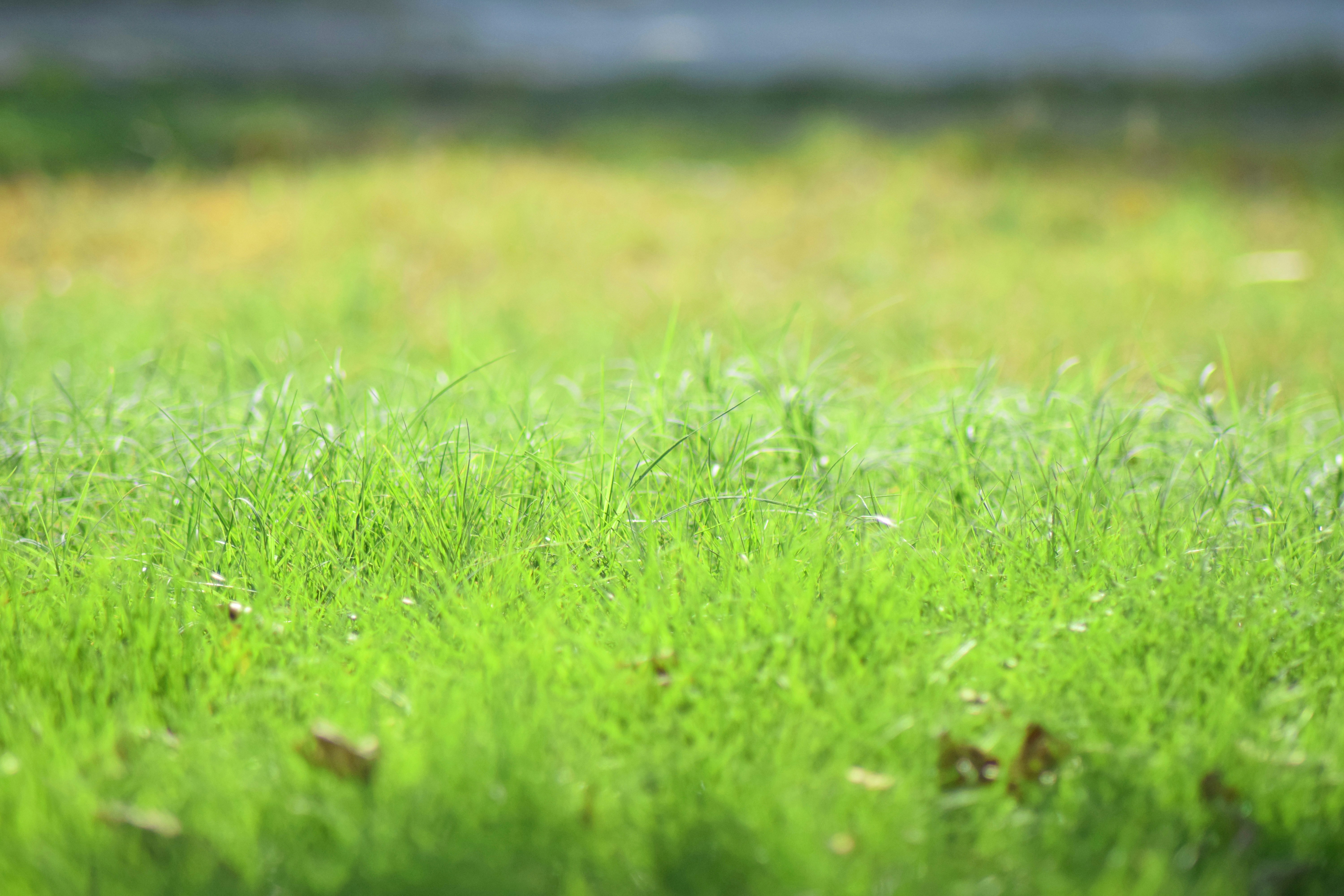 Photo by jayopeniano