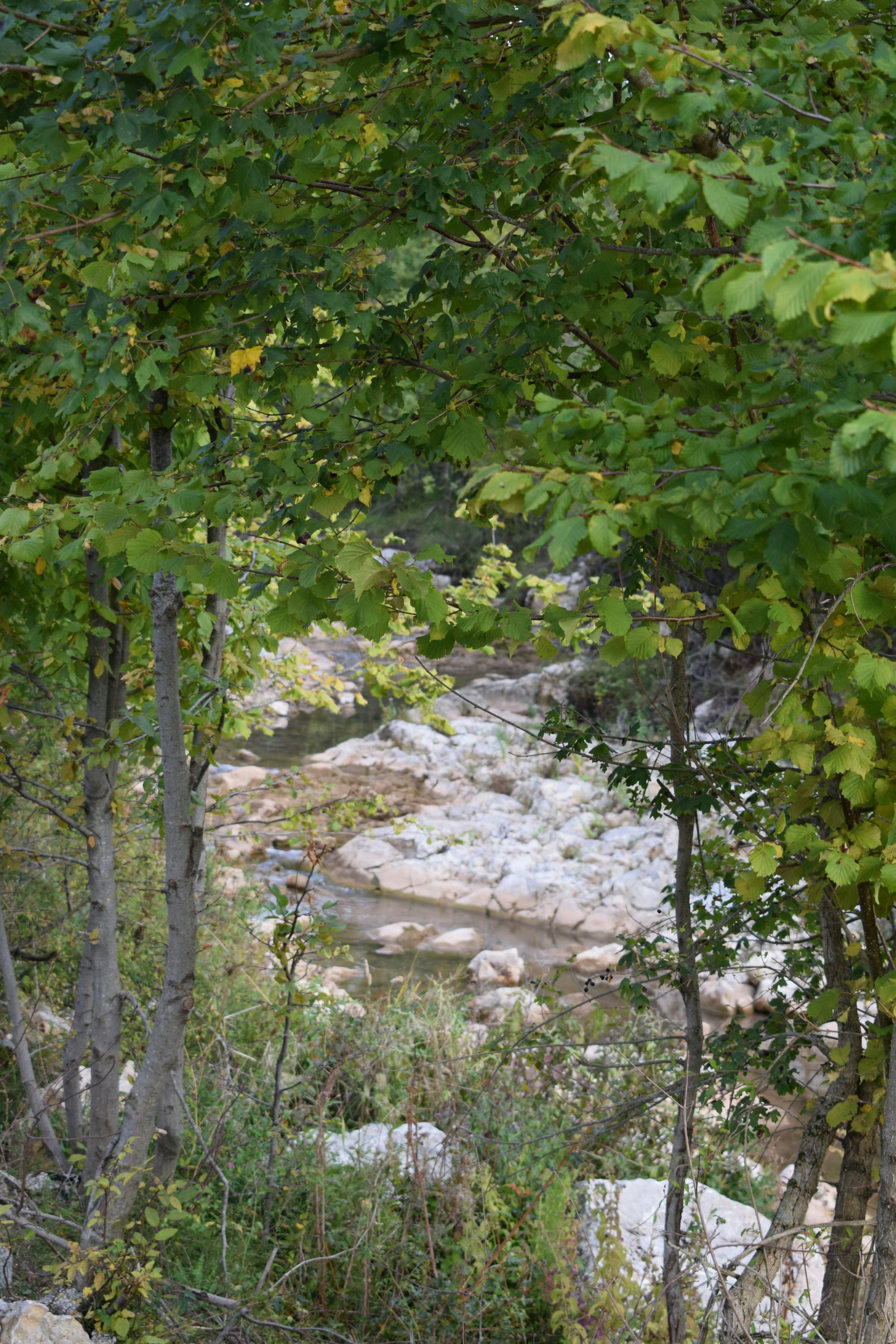 Photo by kristina001