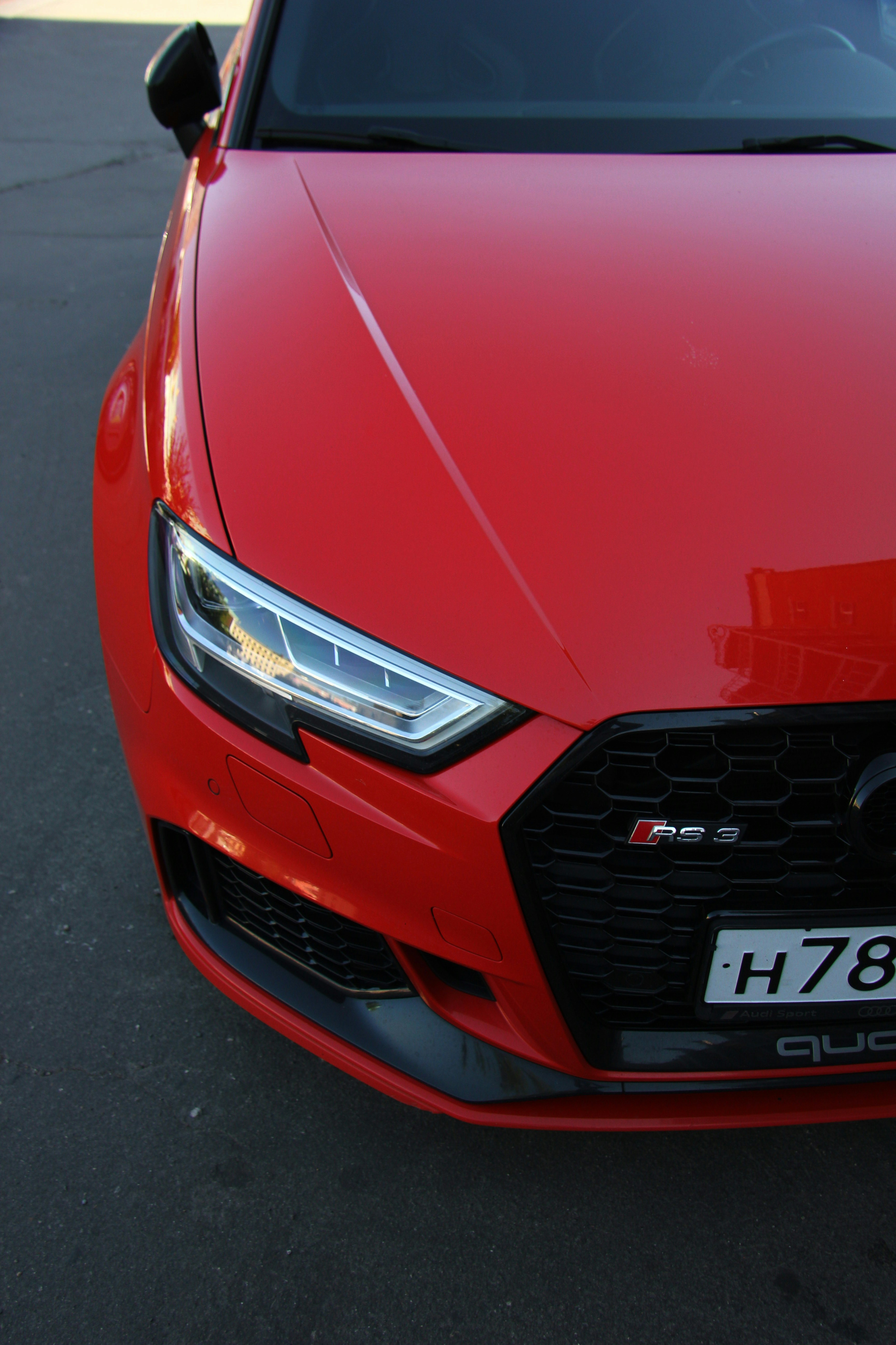 Photo by felis_catus