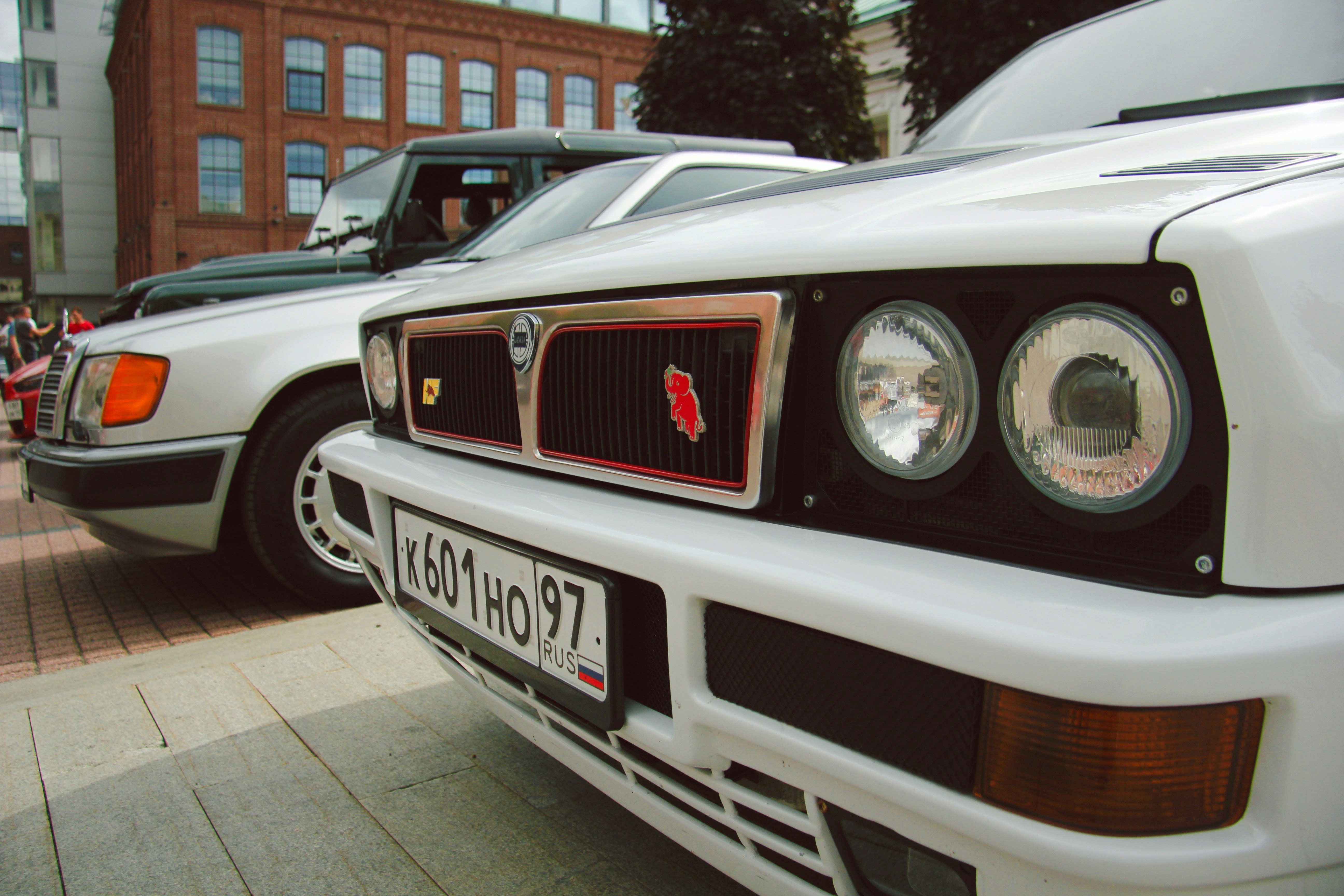 Photo by felis_catus