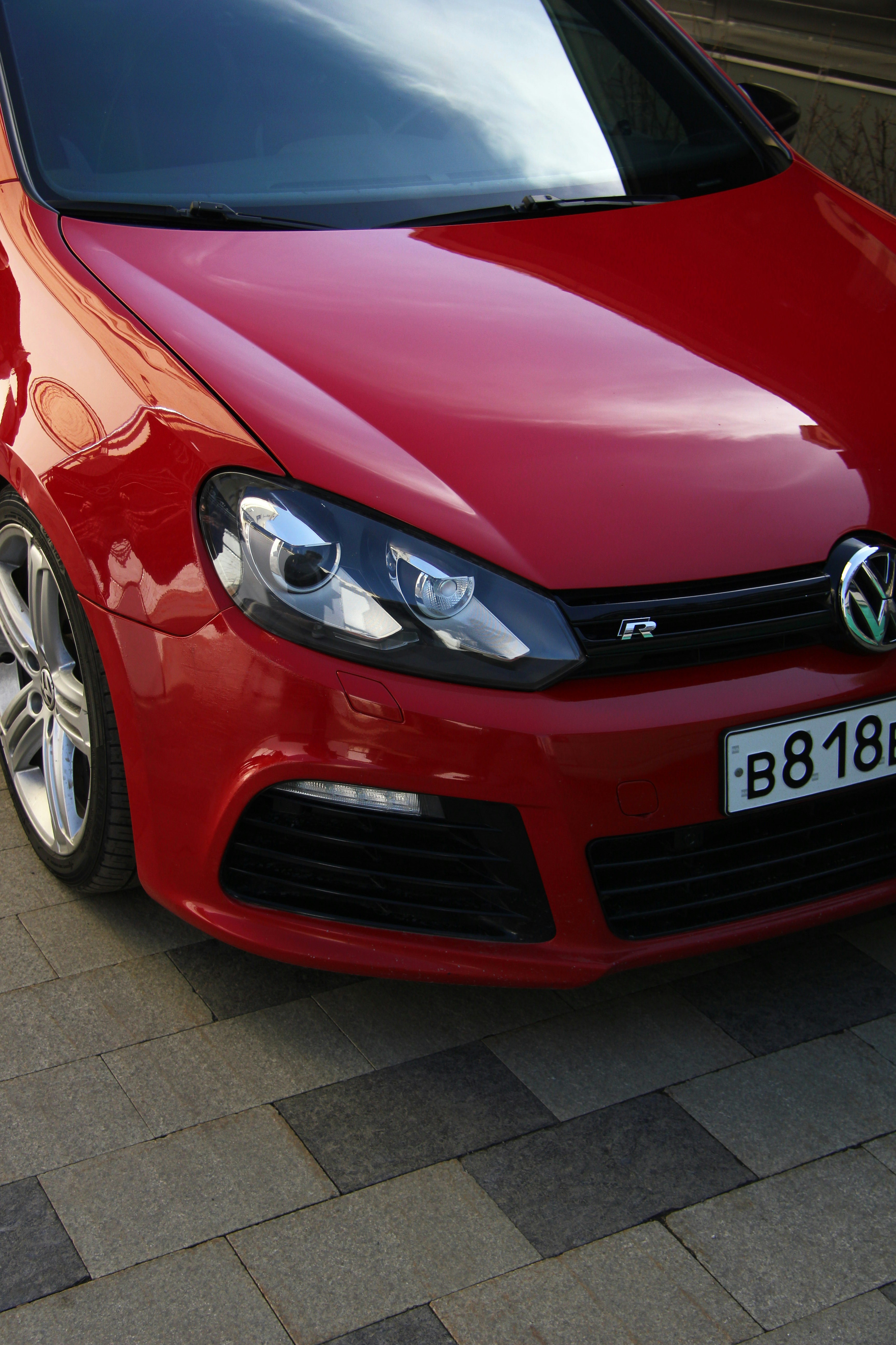 Photo by felis_catus