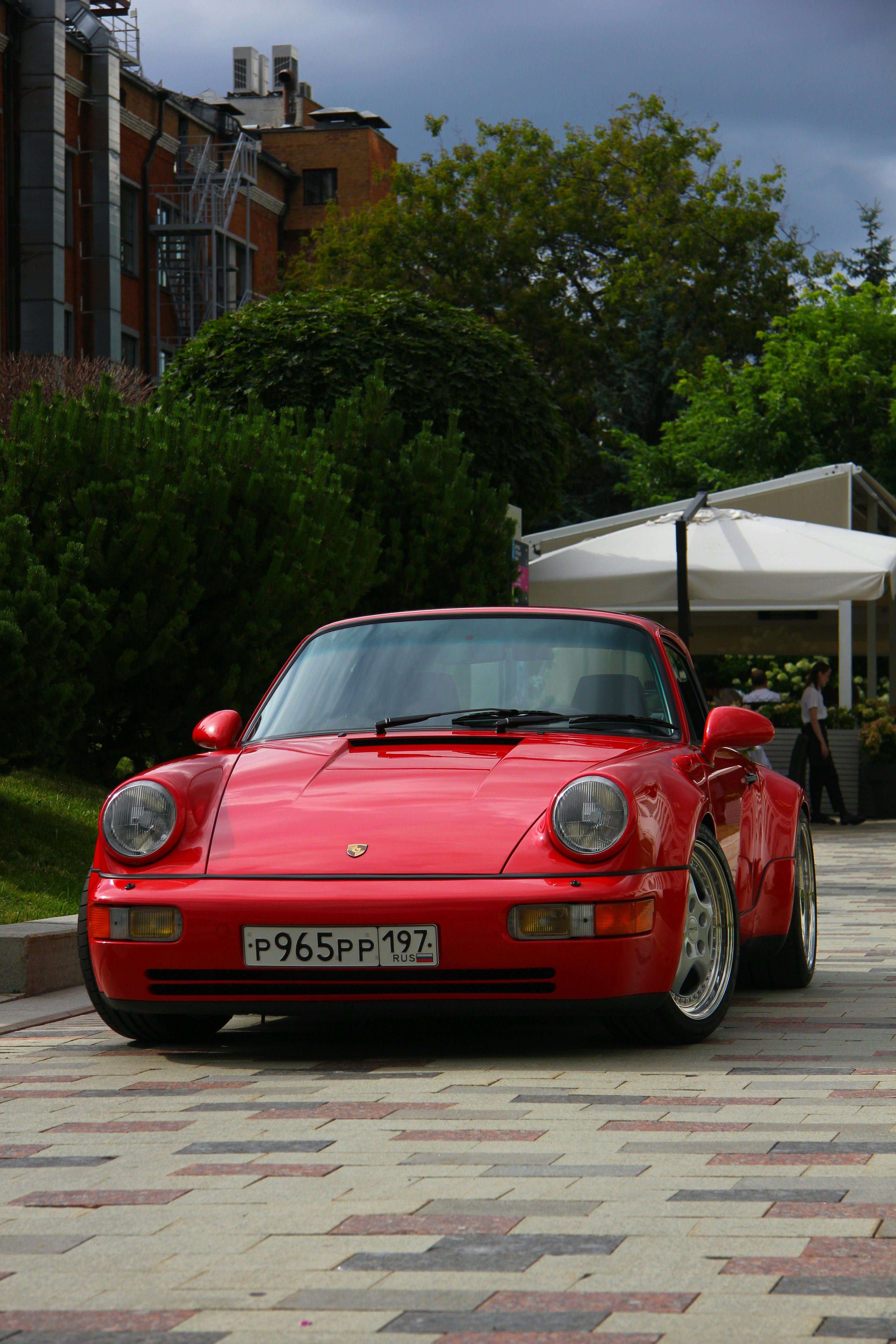 Photo by felis_catus