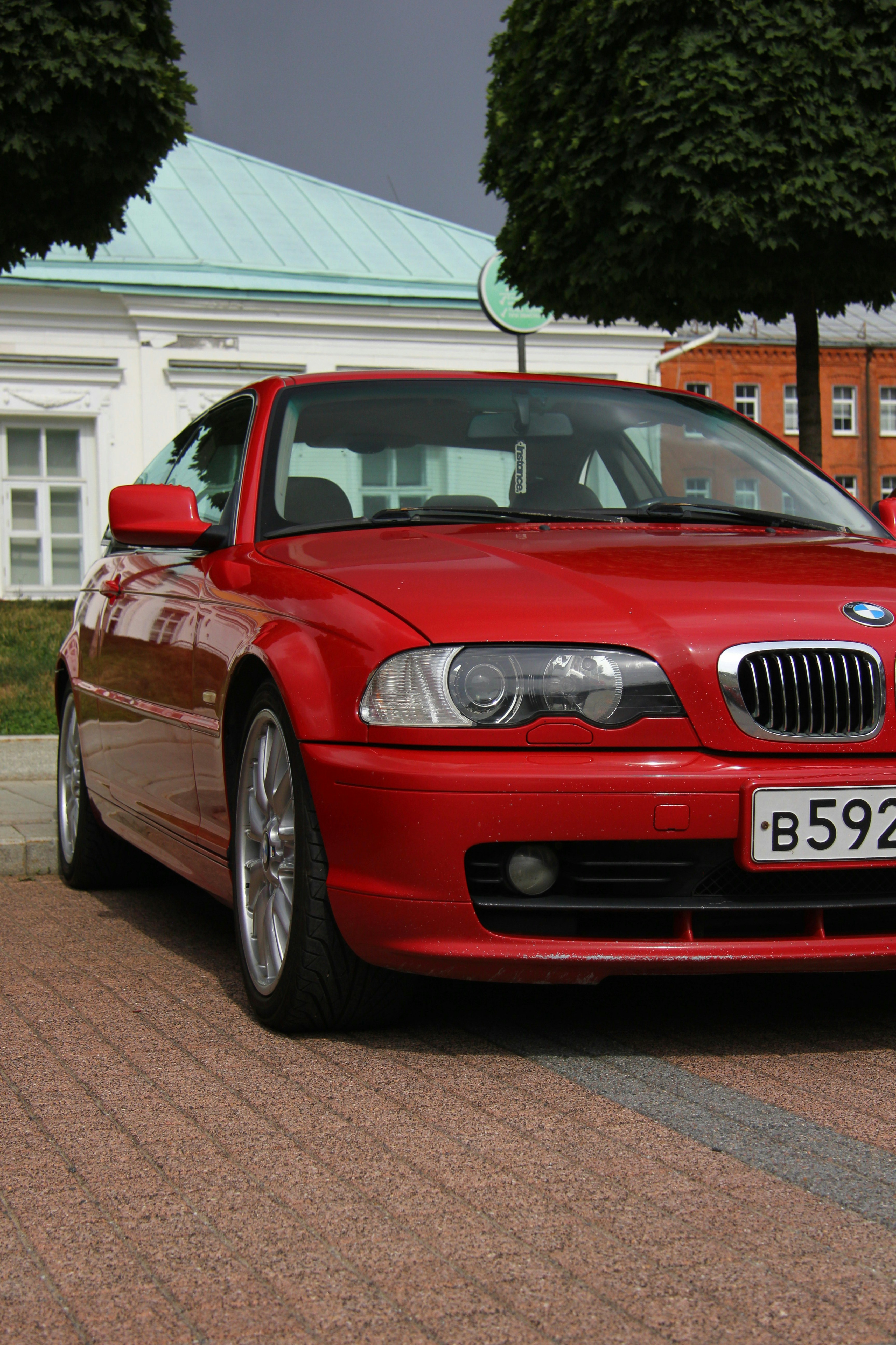 Photo by felis_catus