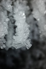 A black and white photo of snow crystals