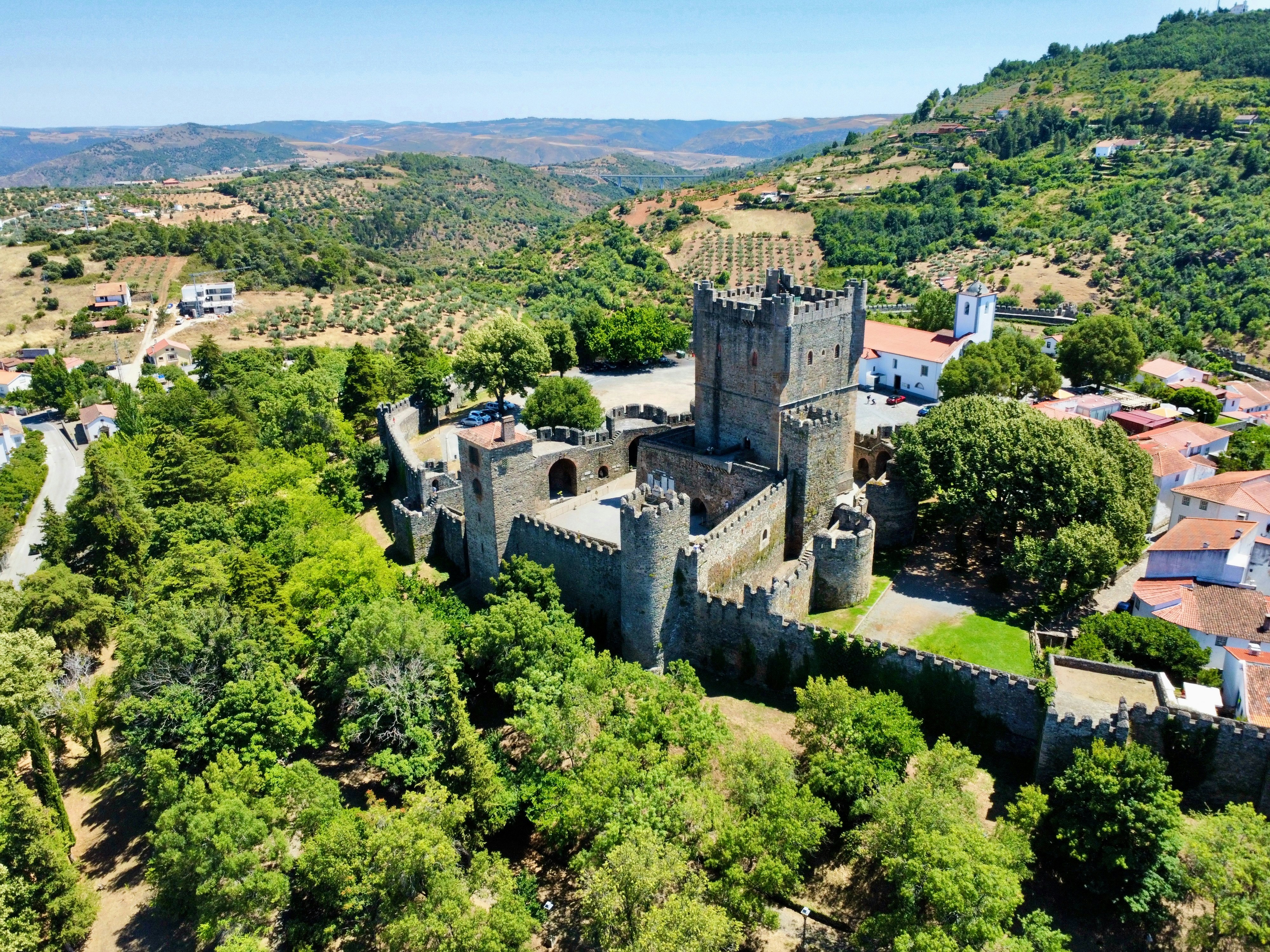 An aerial view of a castle surrounded by trees