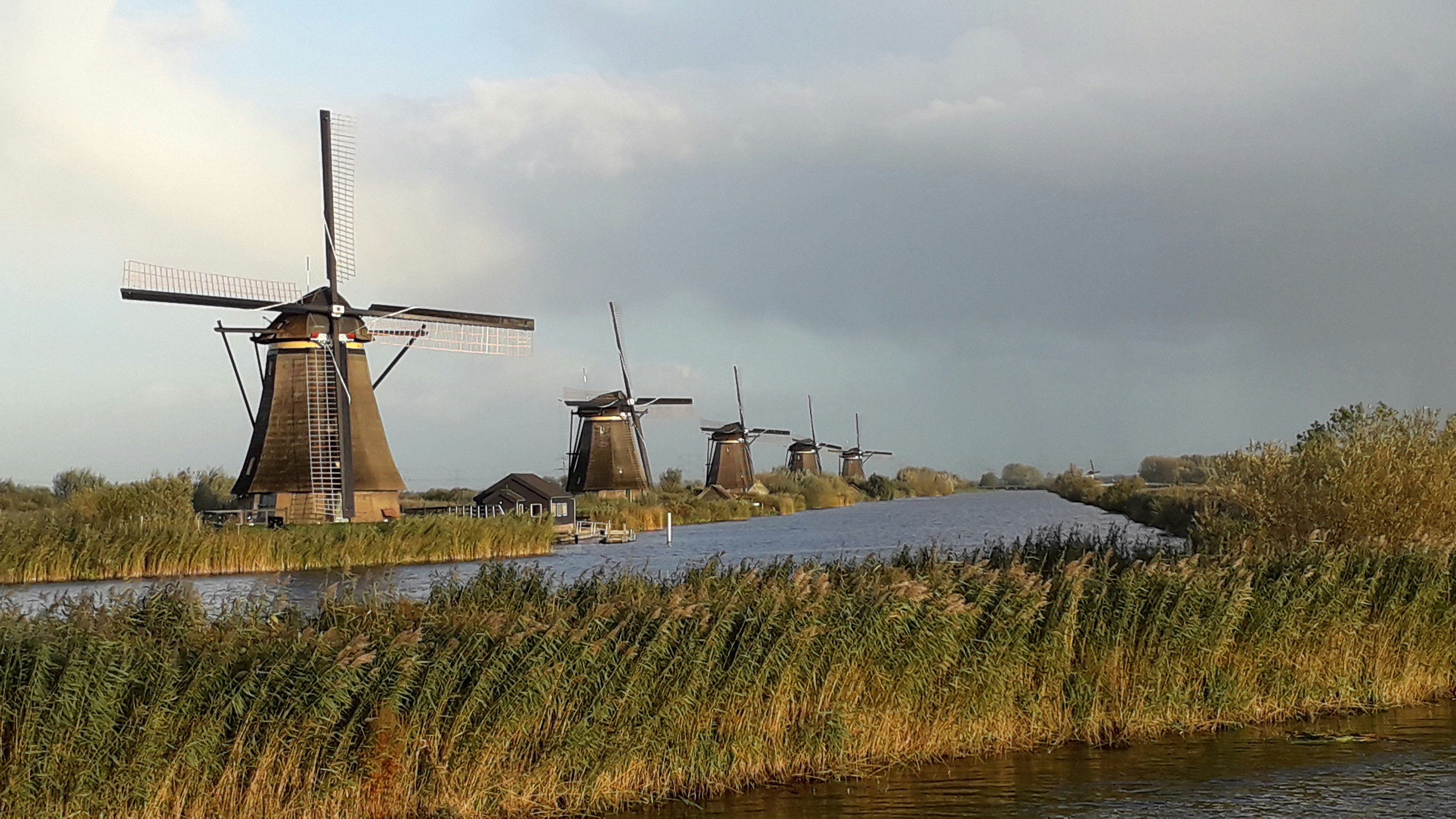 A row of windmills sitting next to a body of water
