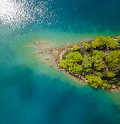 Aerial view of a wooded island in the open sea