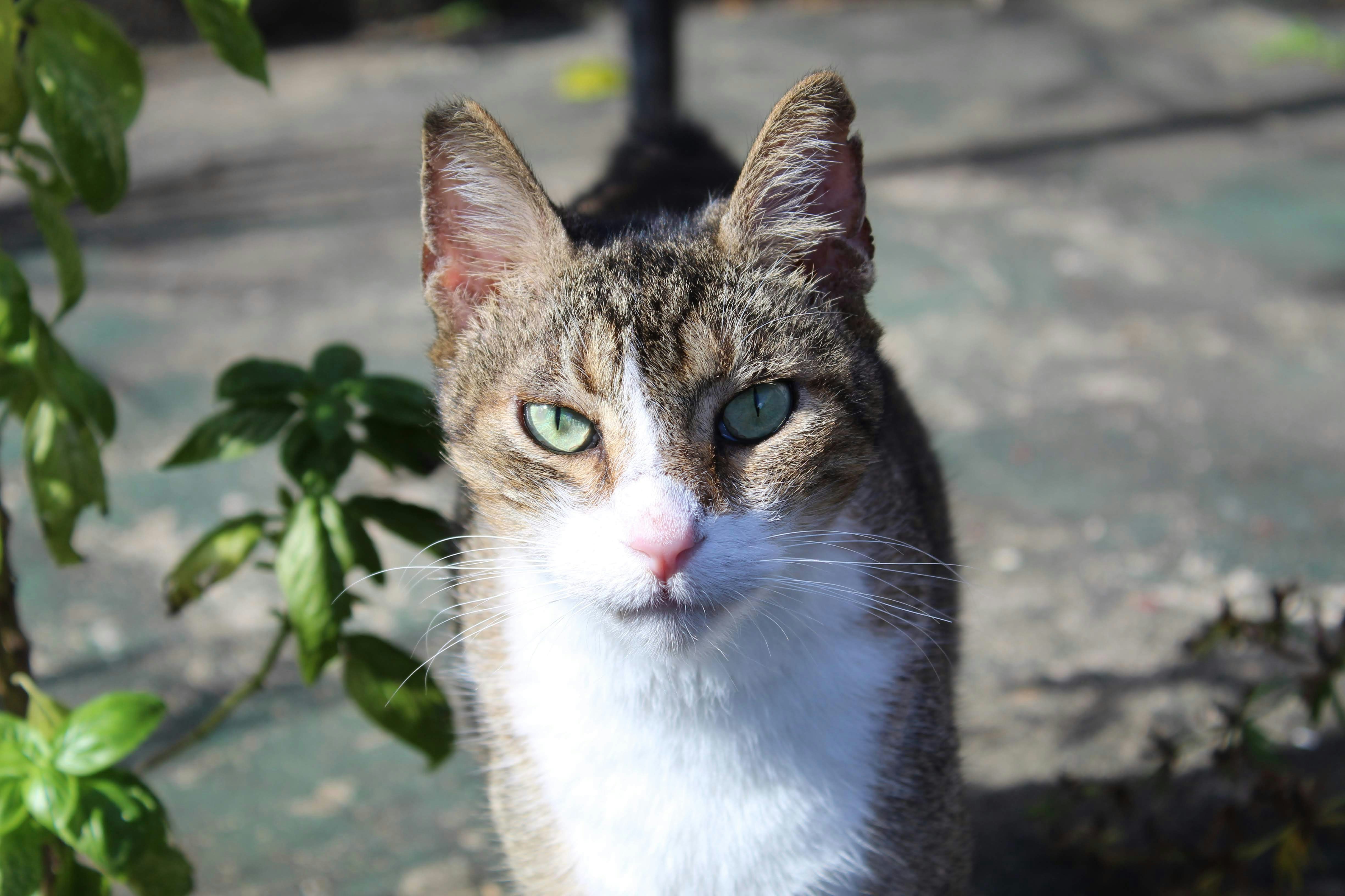 Photo by loaizaperez