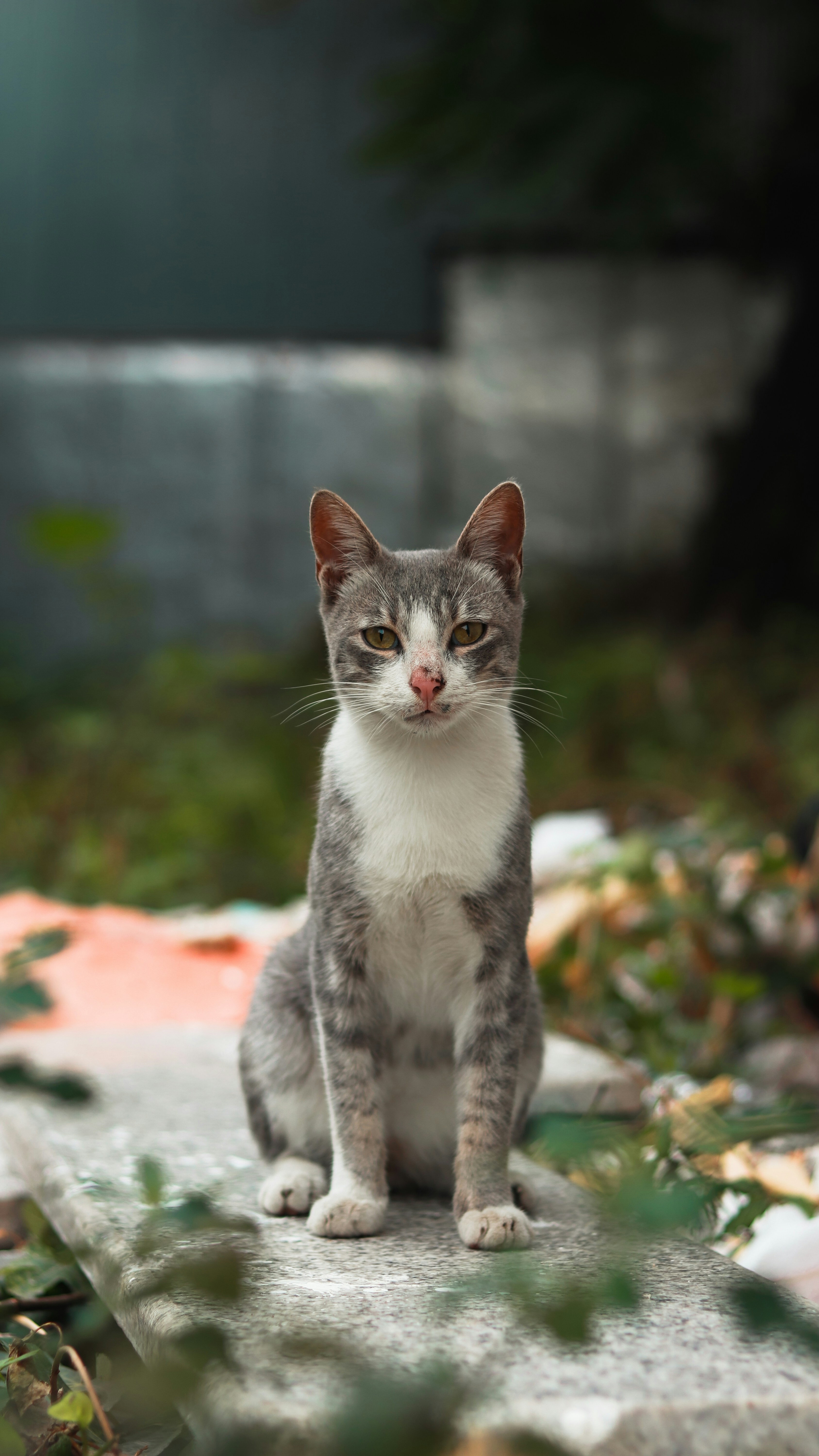 Photo by alireza_hashemi