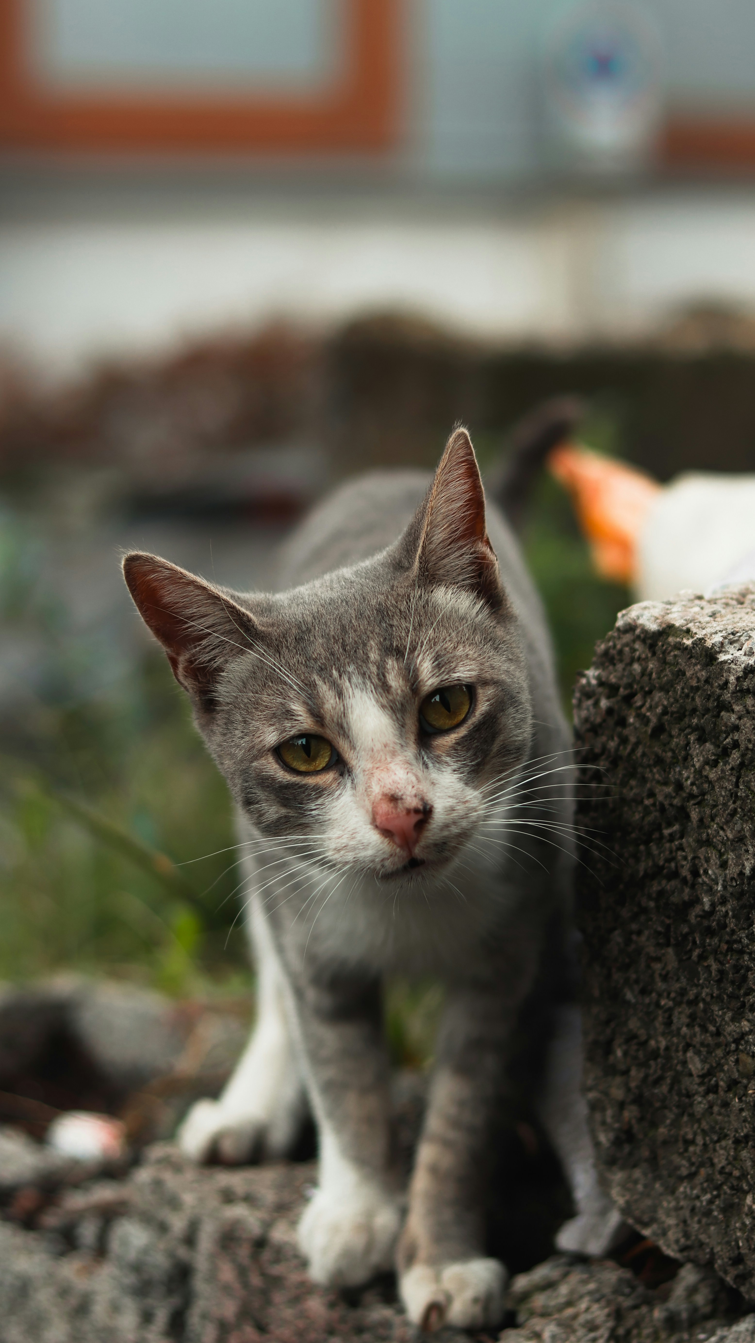 Photo by alireza_hashemi