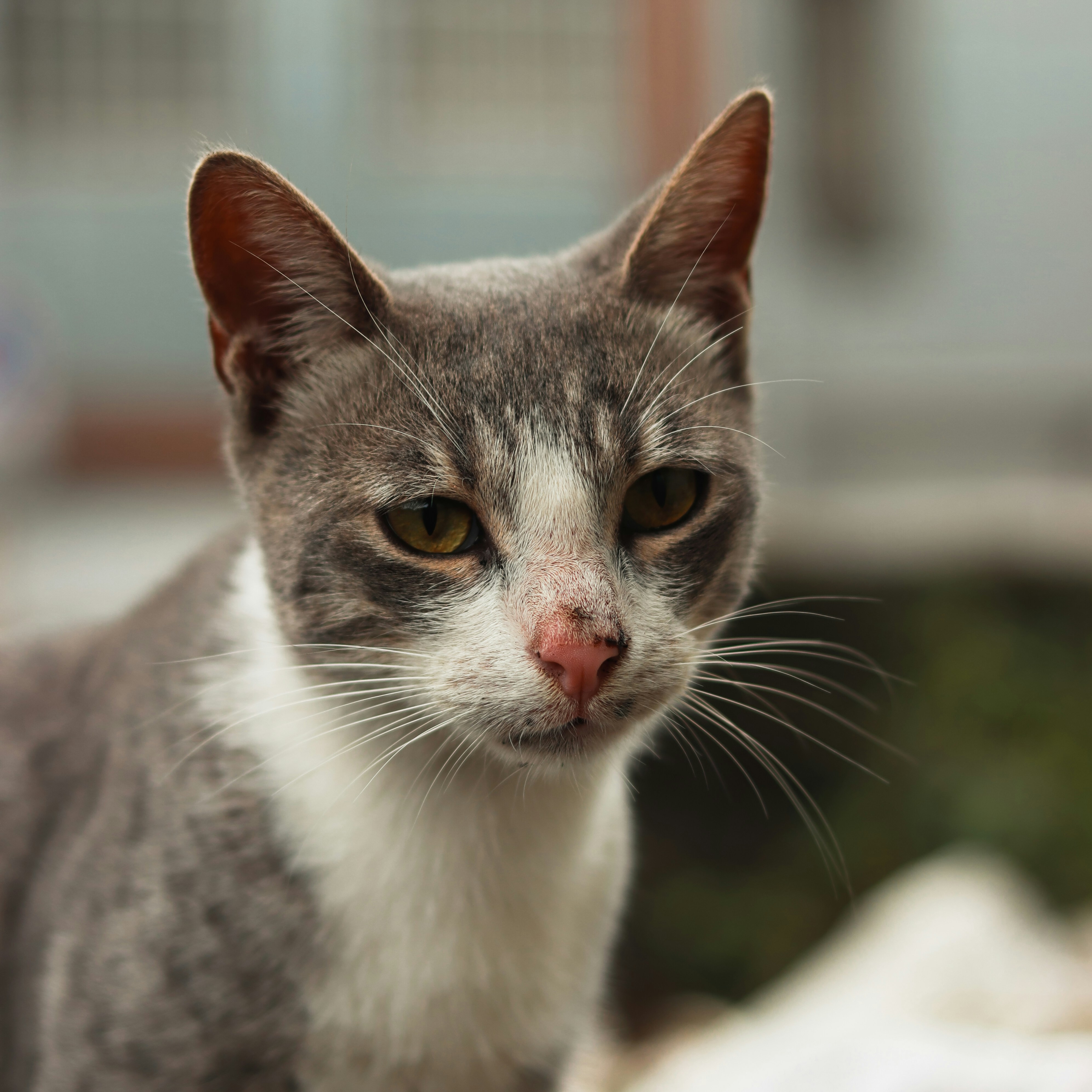 Photo by alireza_hashemi