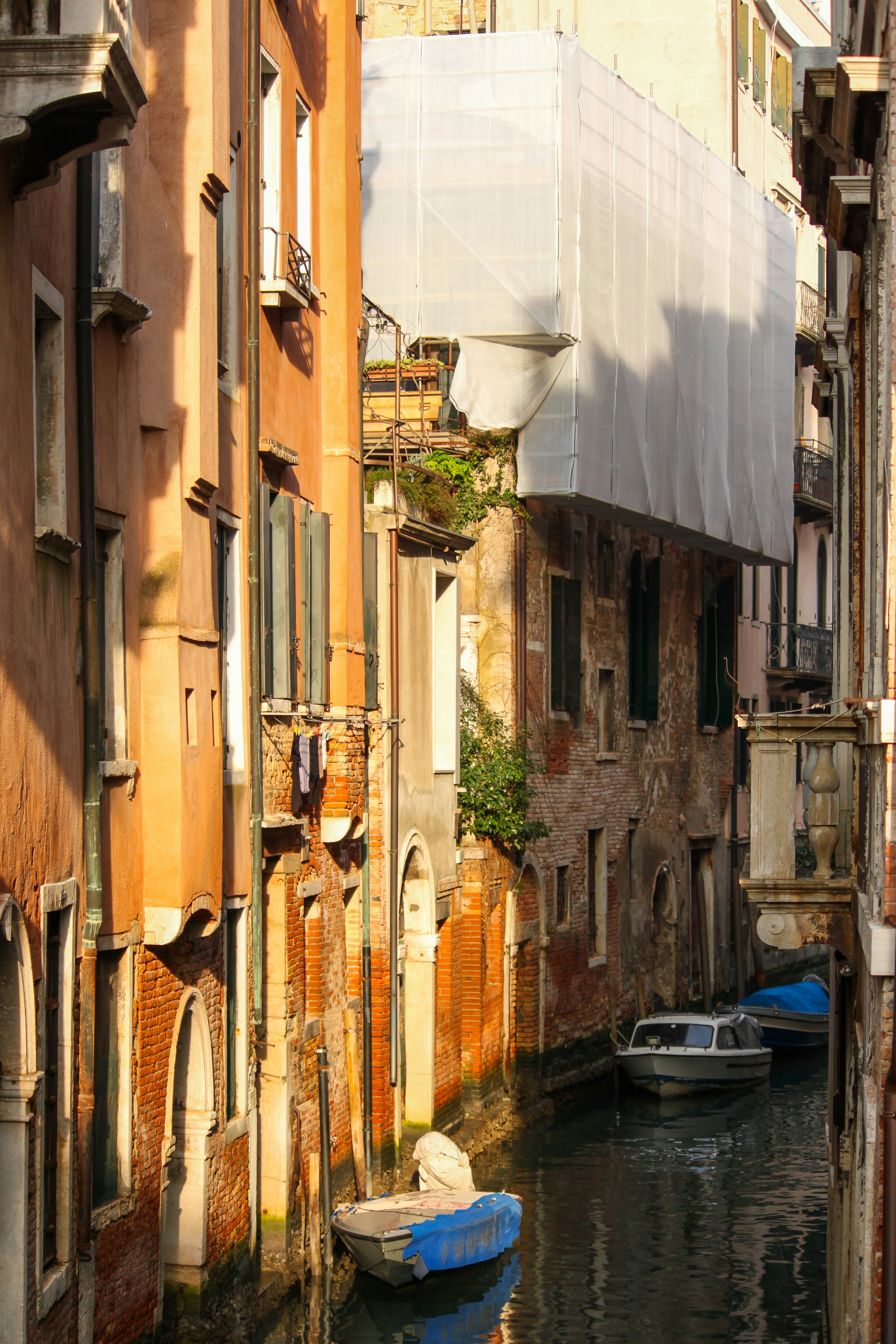 Photo by ajitmasurkar