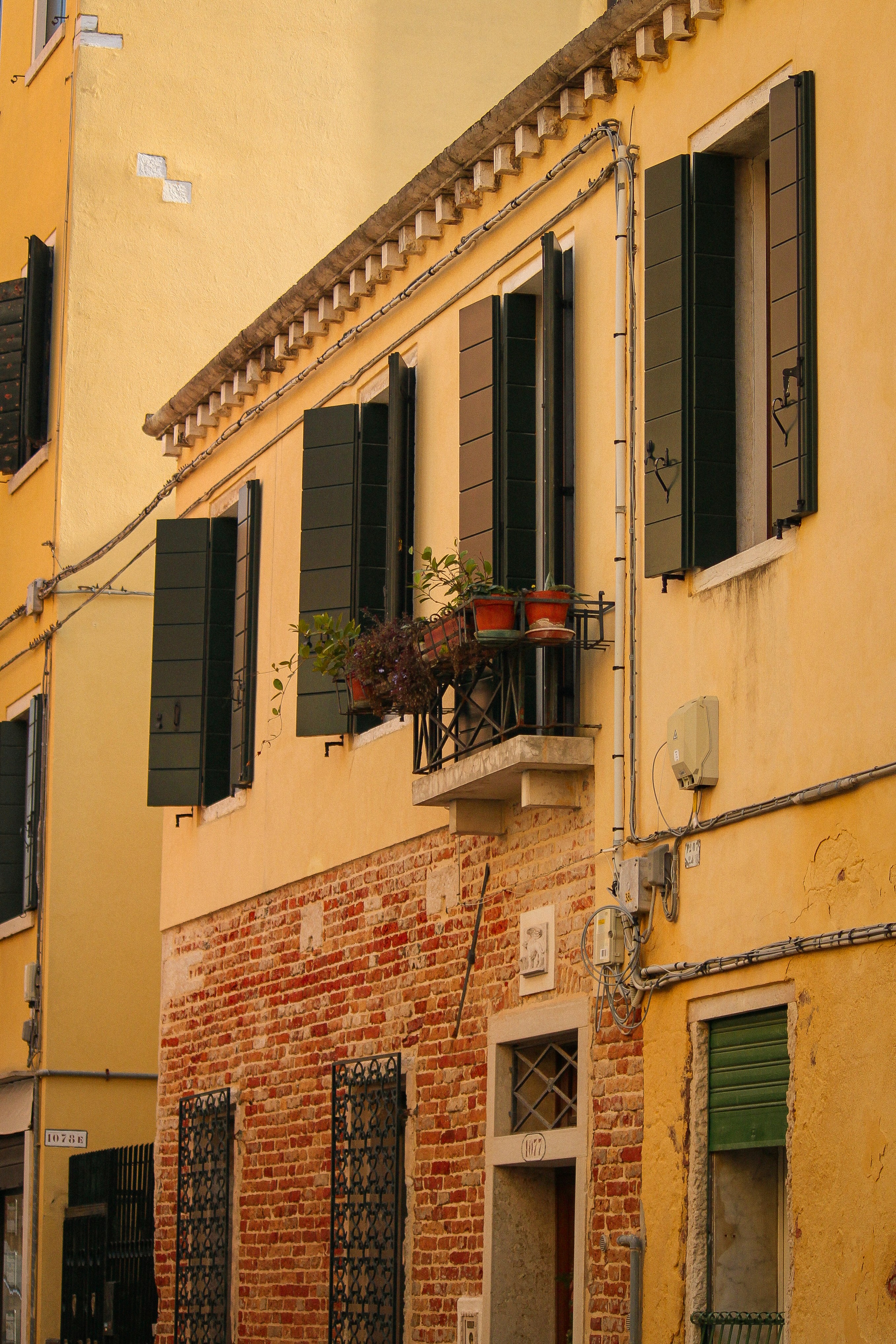 Photo by ajitmasurkar